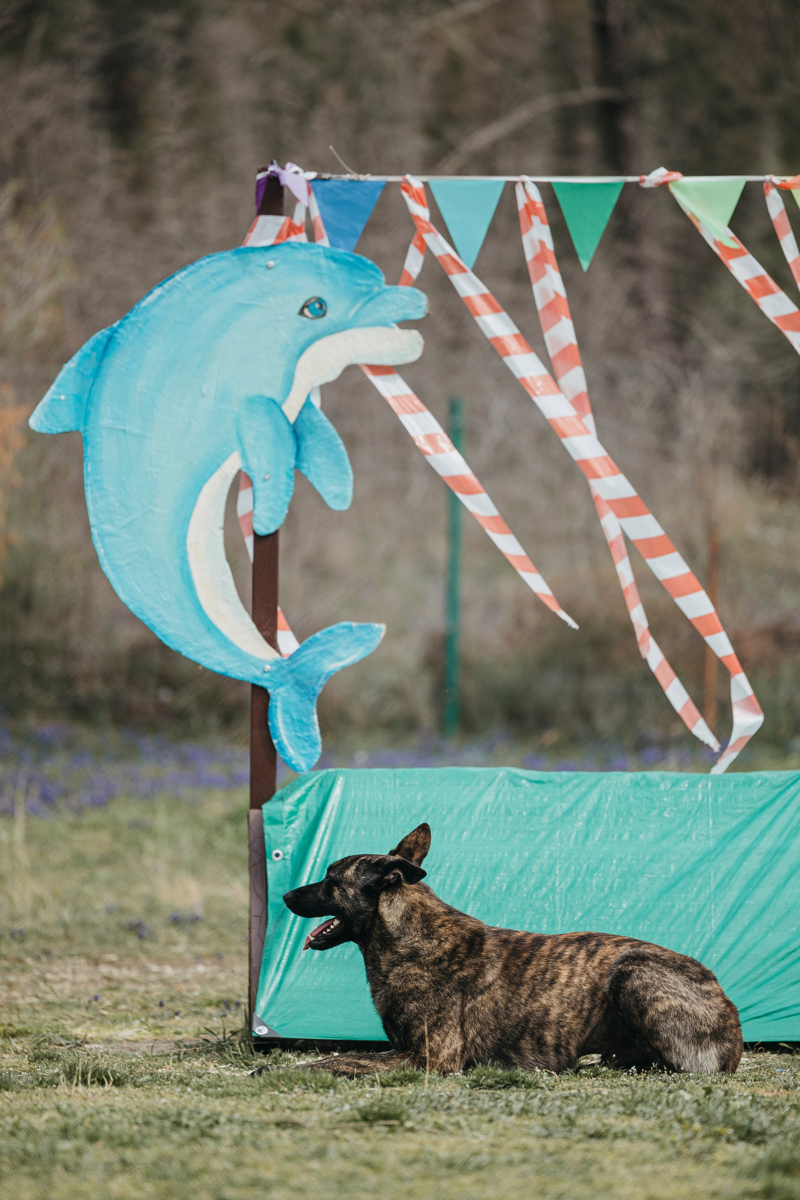 Геленджик Мондьоринг. Фотограф-анималист Анна Маринич