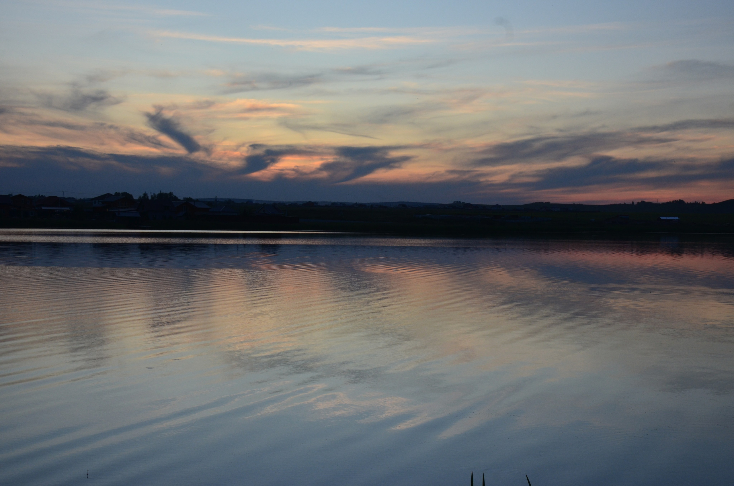 Дары природы. Фотограф viktor viktor