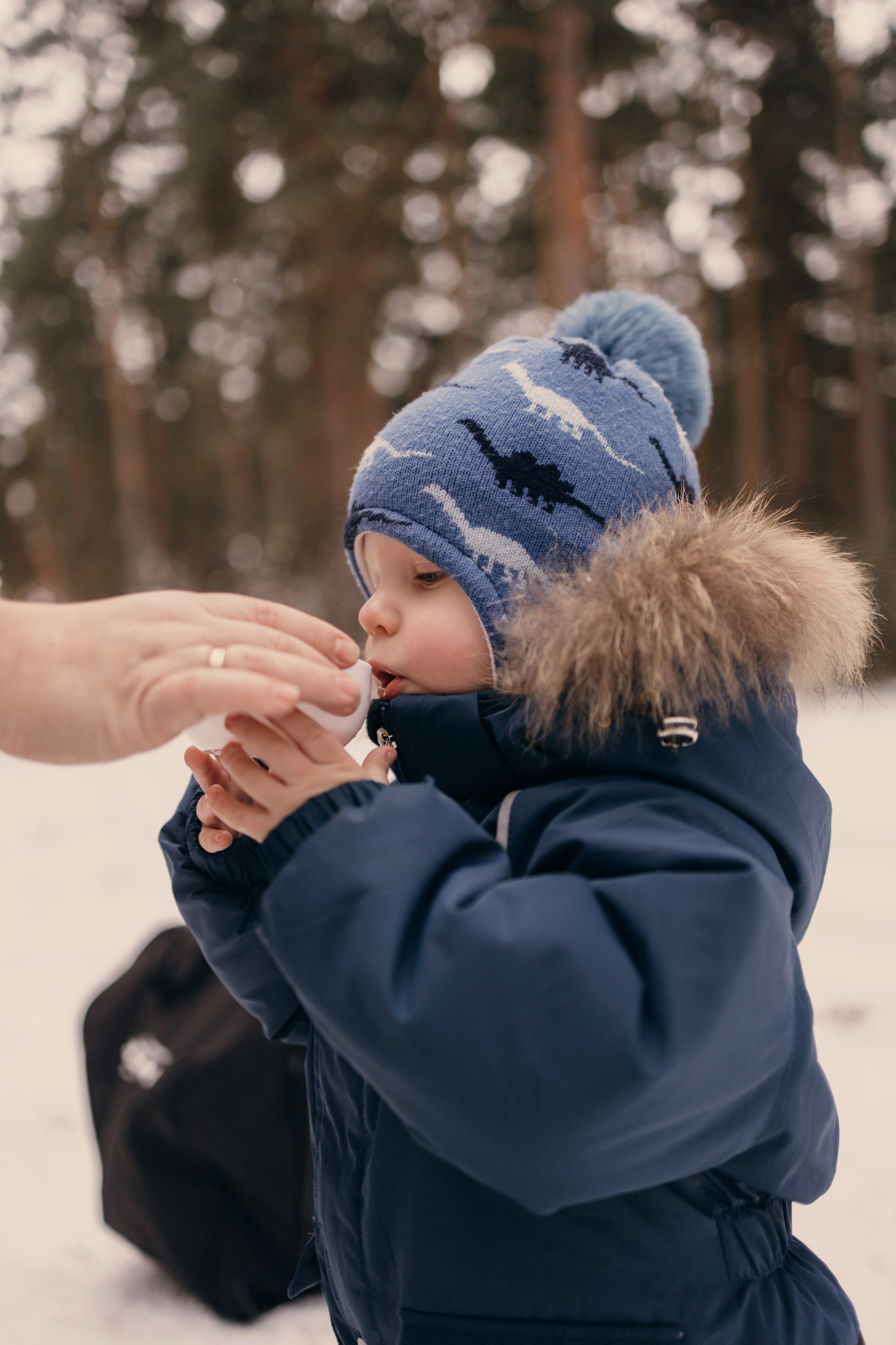 Прогулка в лесу. Коновалова Ольга | фотограф в Пензе и Заречном
