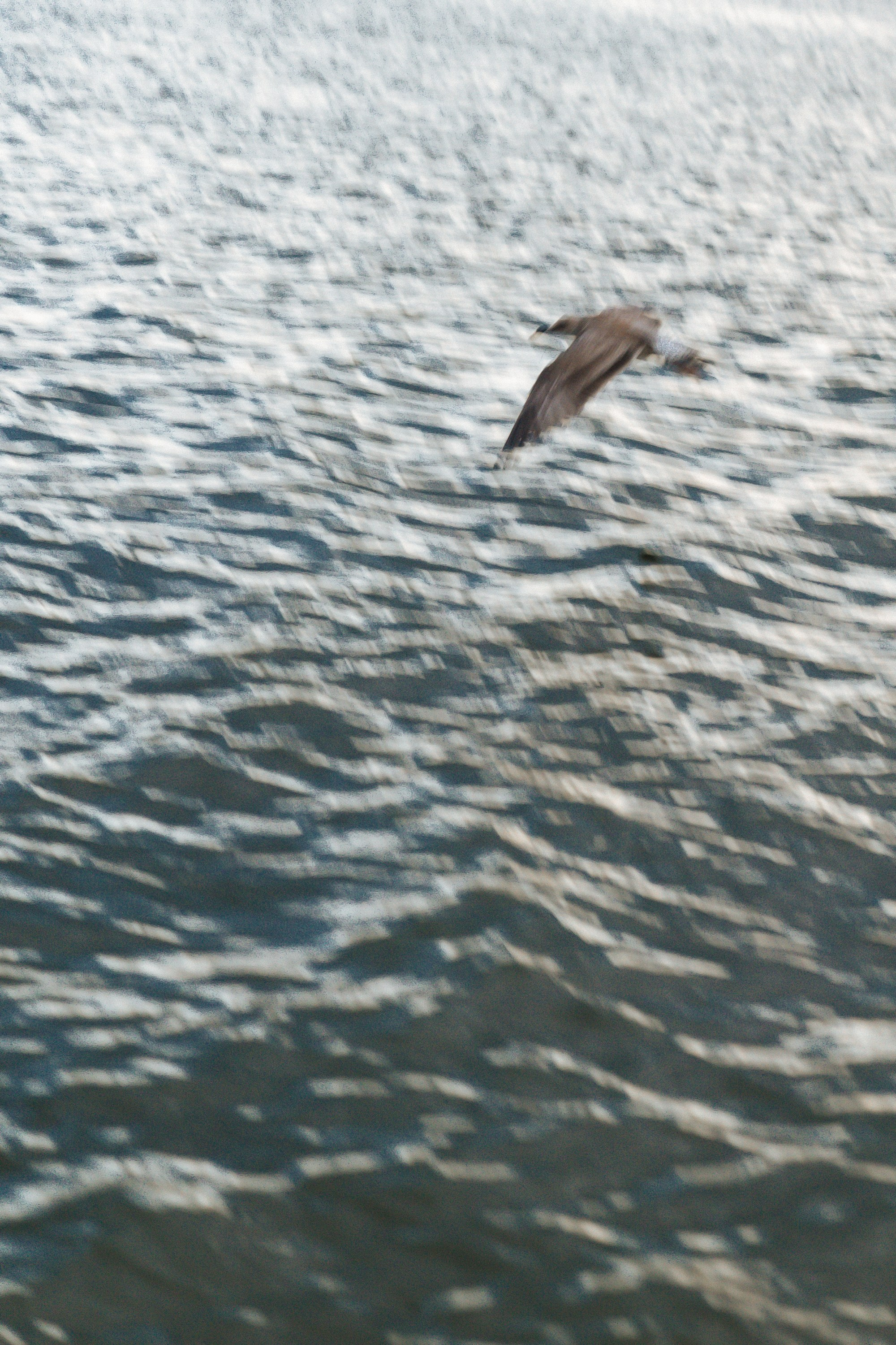 Вера. Семейный и женский фотограф в Белгороде Мария Алексеева