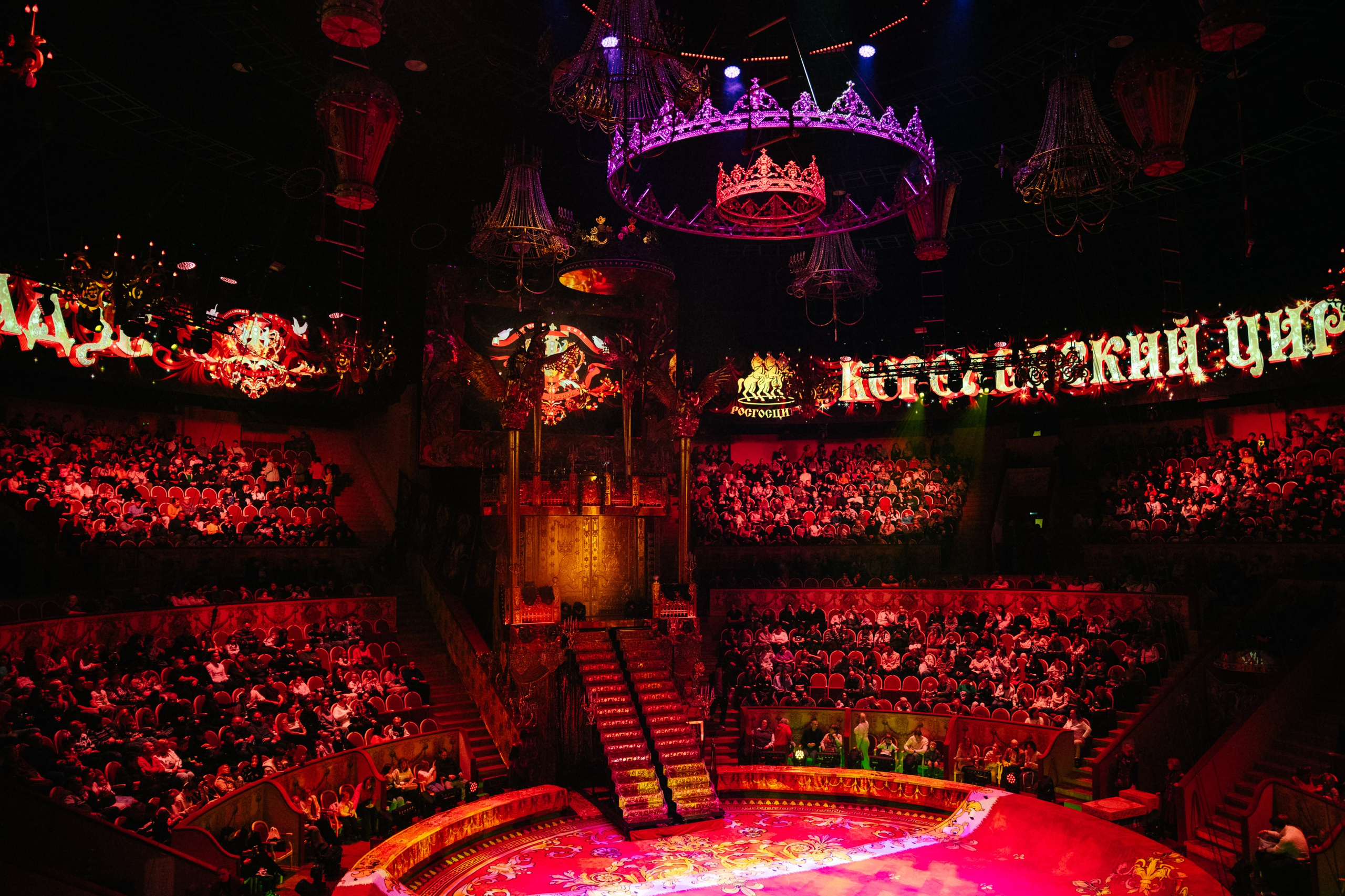 Королевский Цирк Гии Эрадзе. Репортажный и портретный фотограф в Санкт-Петербурге Степлевич Дарья