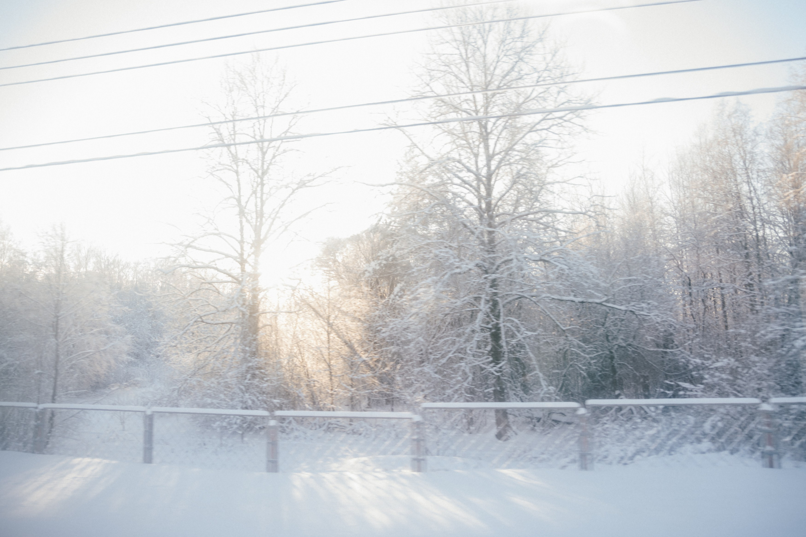 Полярный Экспресс. Репортажный и портретный фотограф в Санкт-Петербурге Степлевич Дарья
