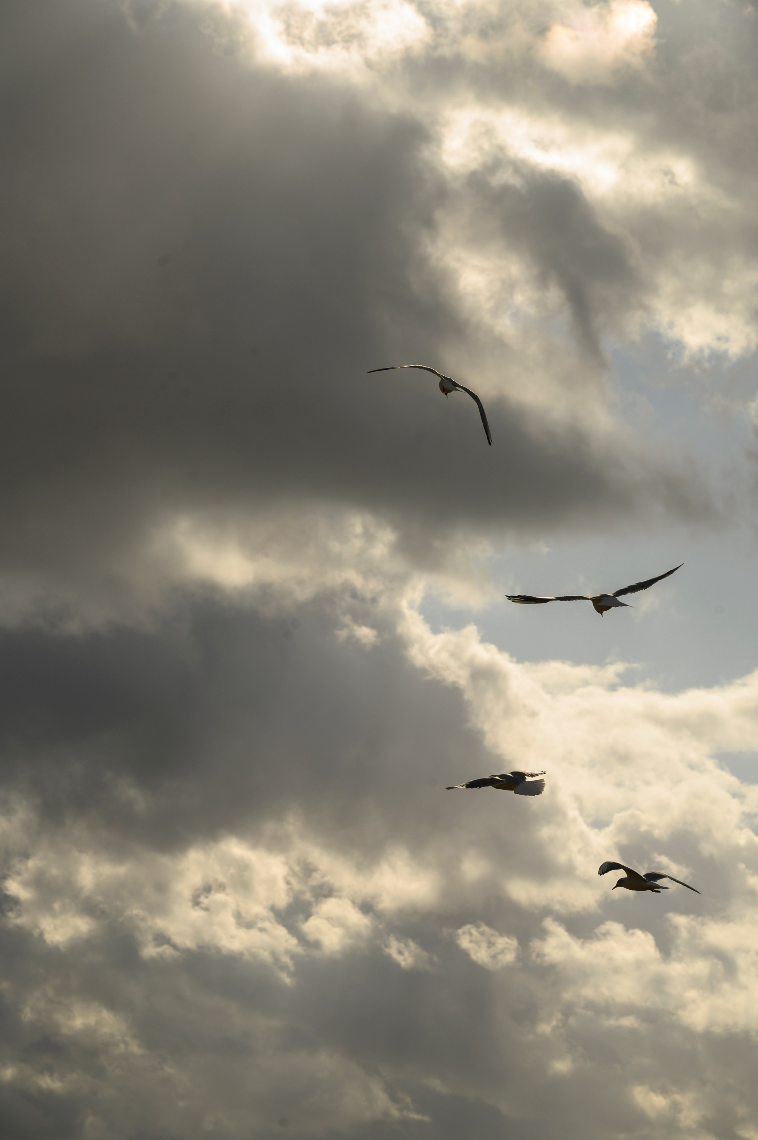Света Паша. Фотограф в Сыктывкаре Онохов Иван