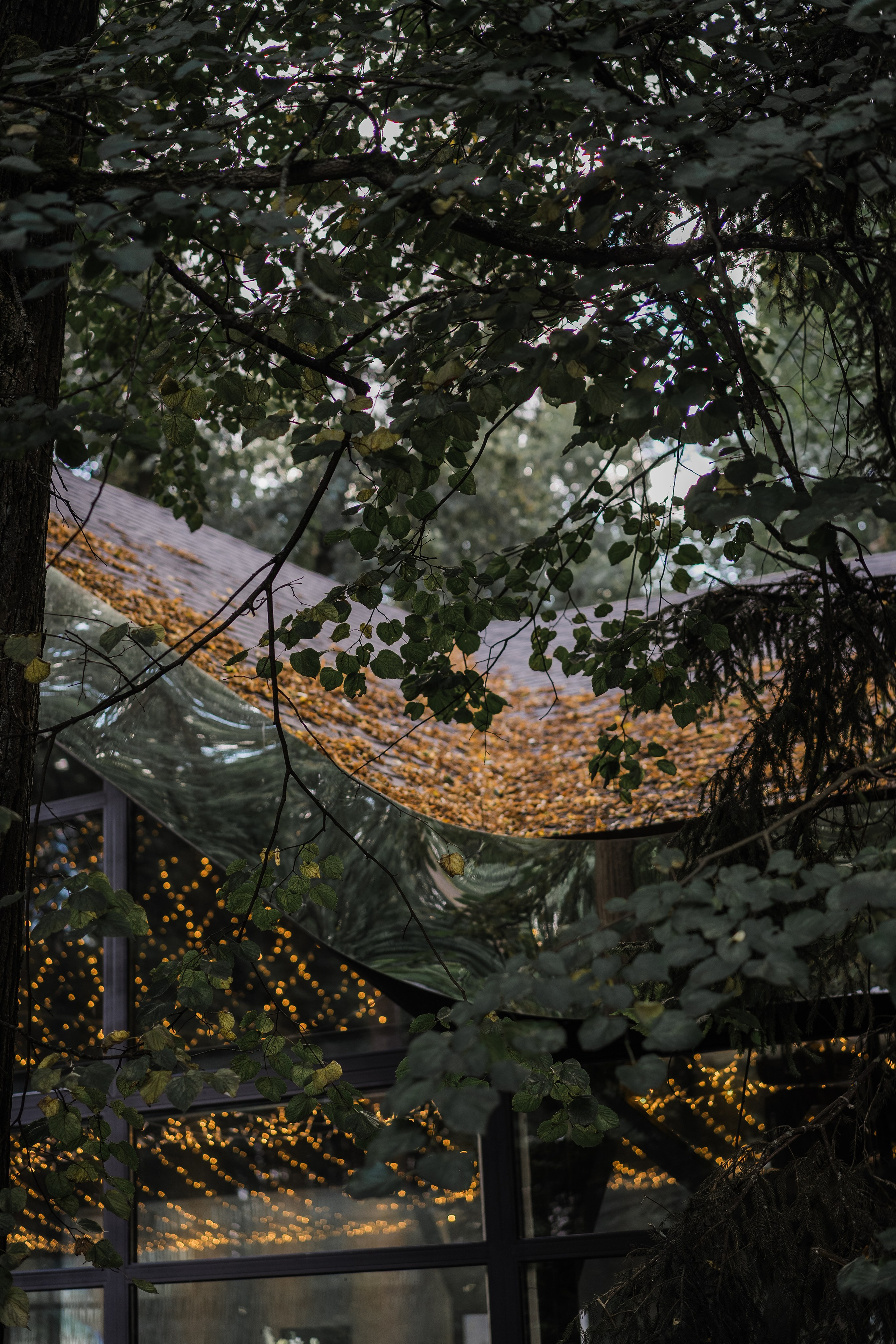 Veronika&Nikita. Валерия Солнцева свадебный и семейный фотограф