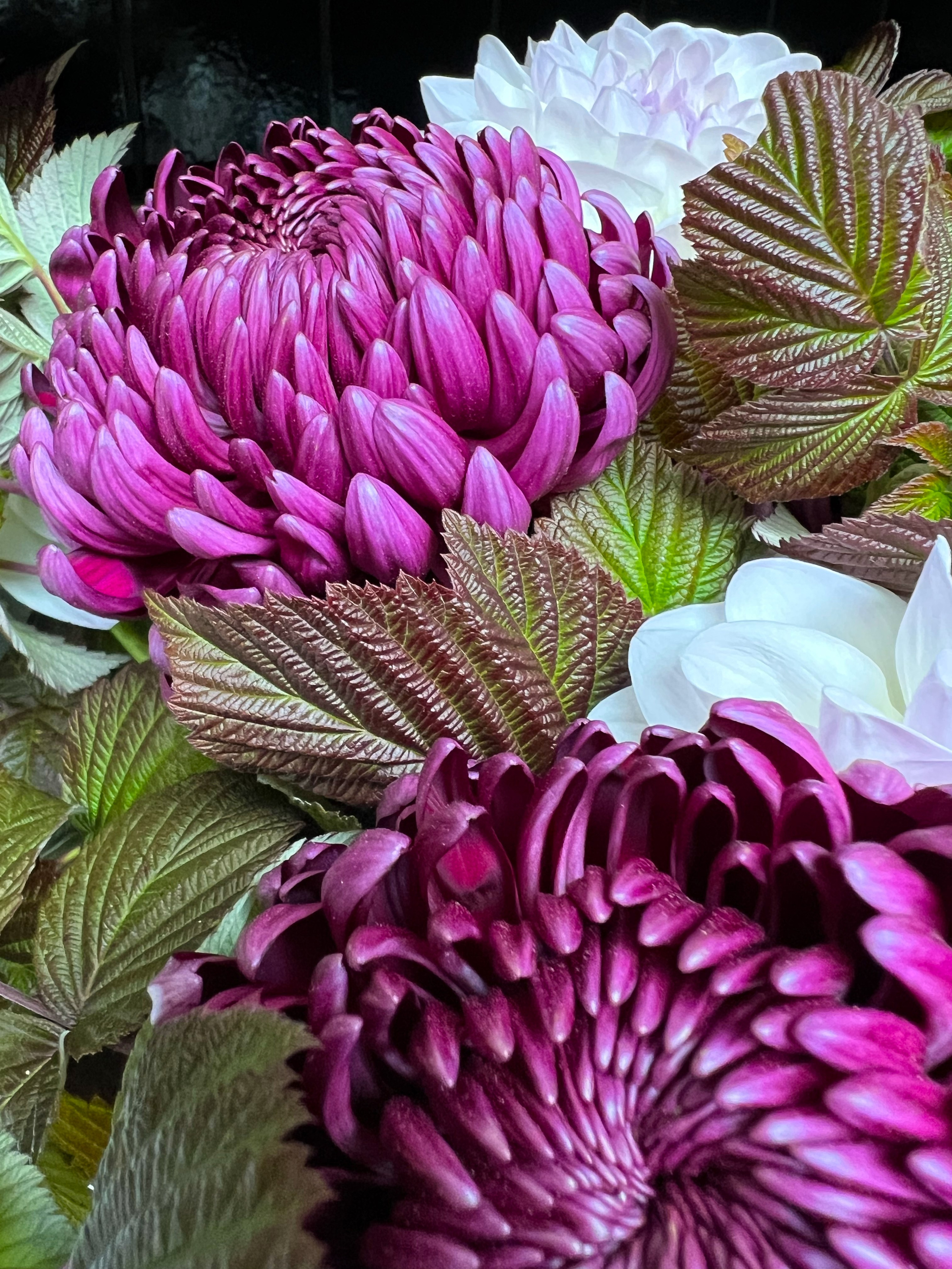 Снято на телефон. Фотография, ретушь, сканирование, восстановление старых фото, интерьерная съёмка, студия. Данилов Александр, Москва