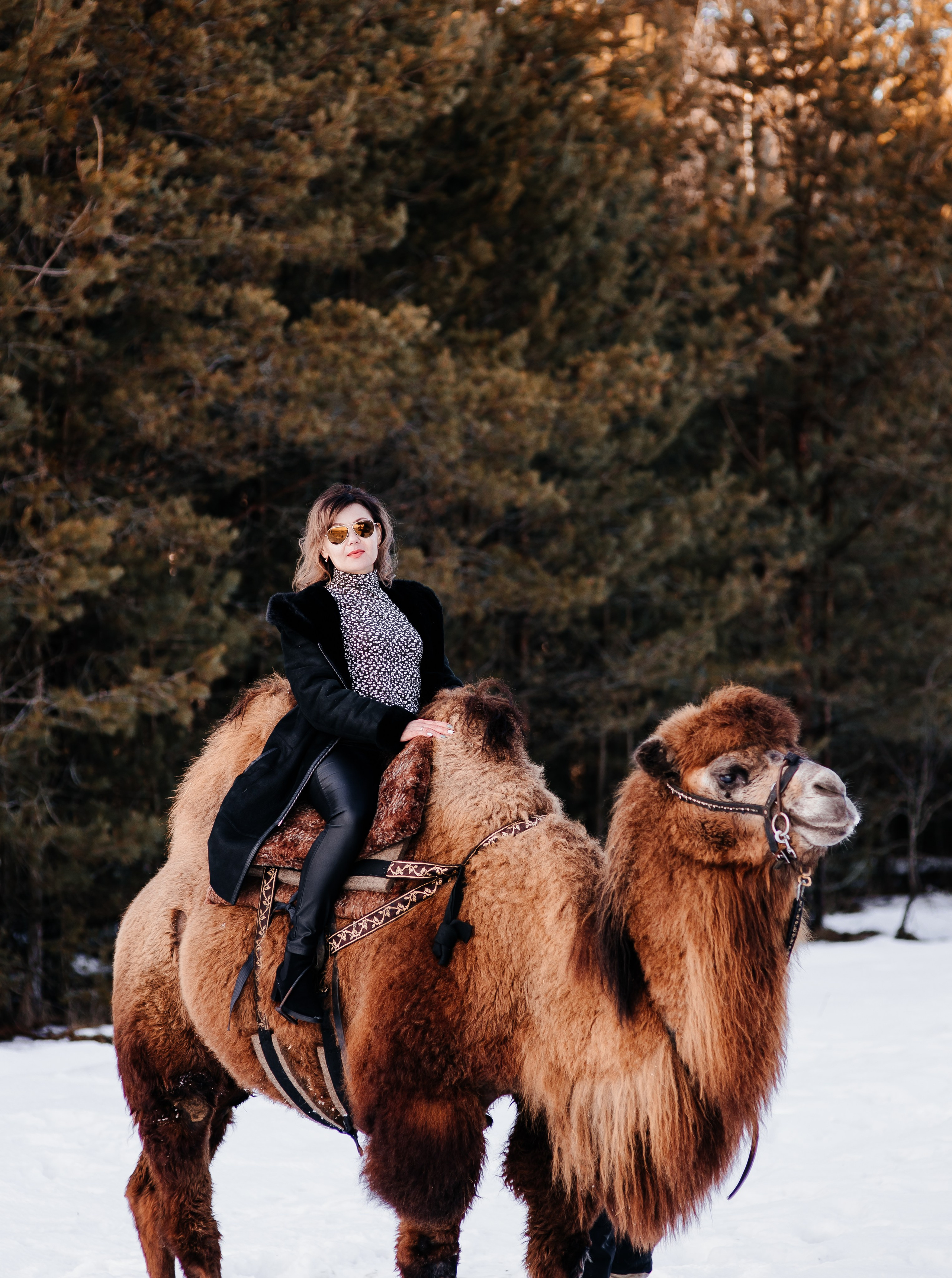 Леденящее приключение. Фотосессии Фотодни Псков СПб