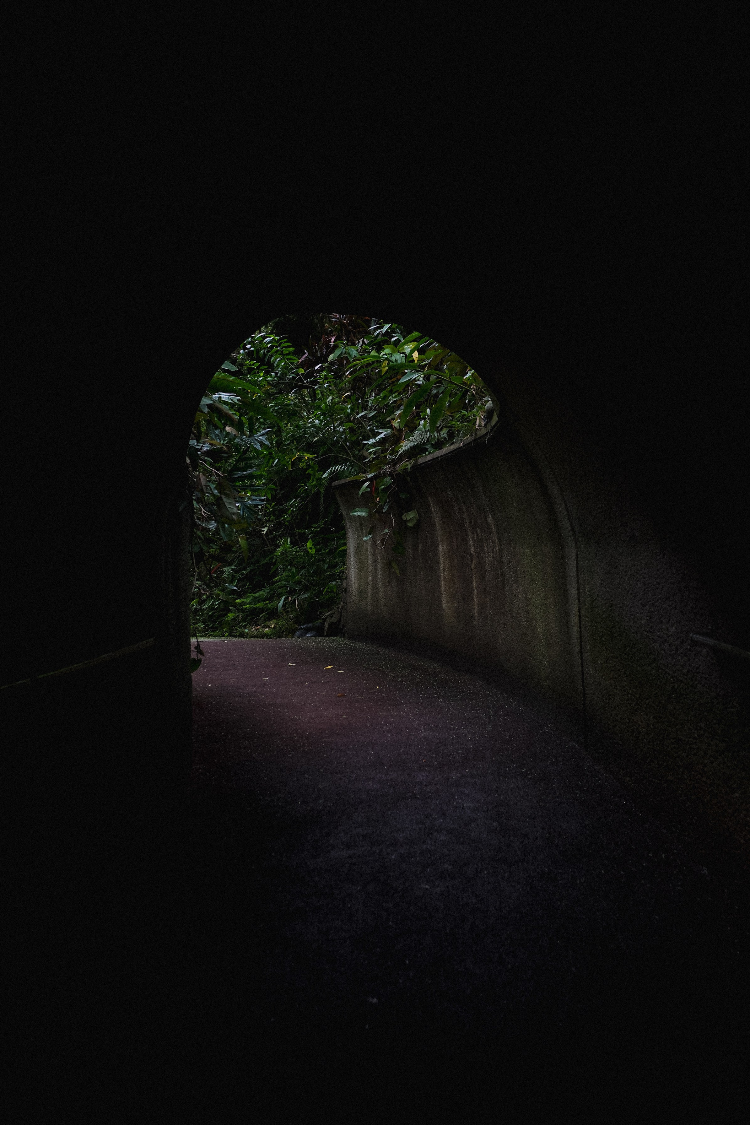 Japan 2026. Фотограф в Москве Daria Lens