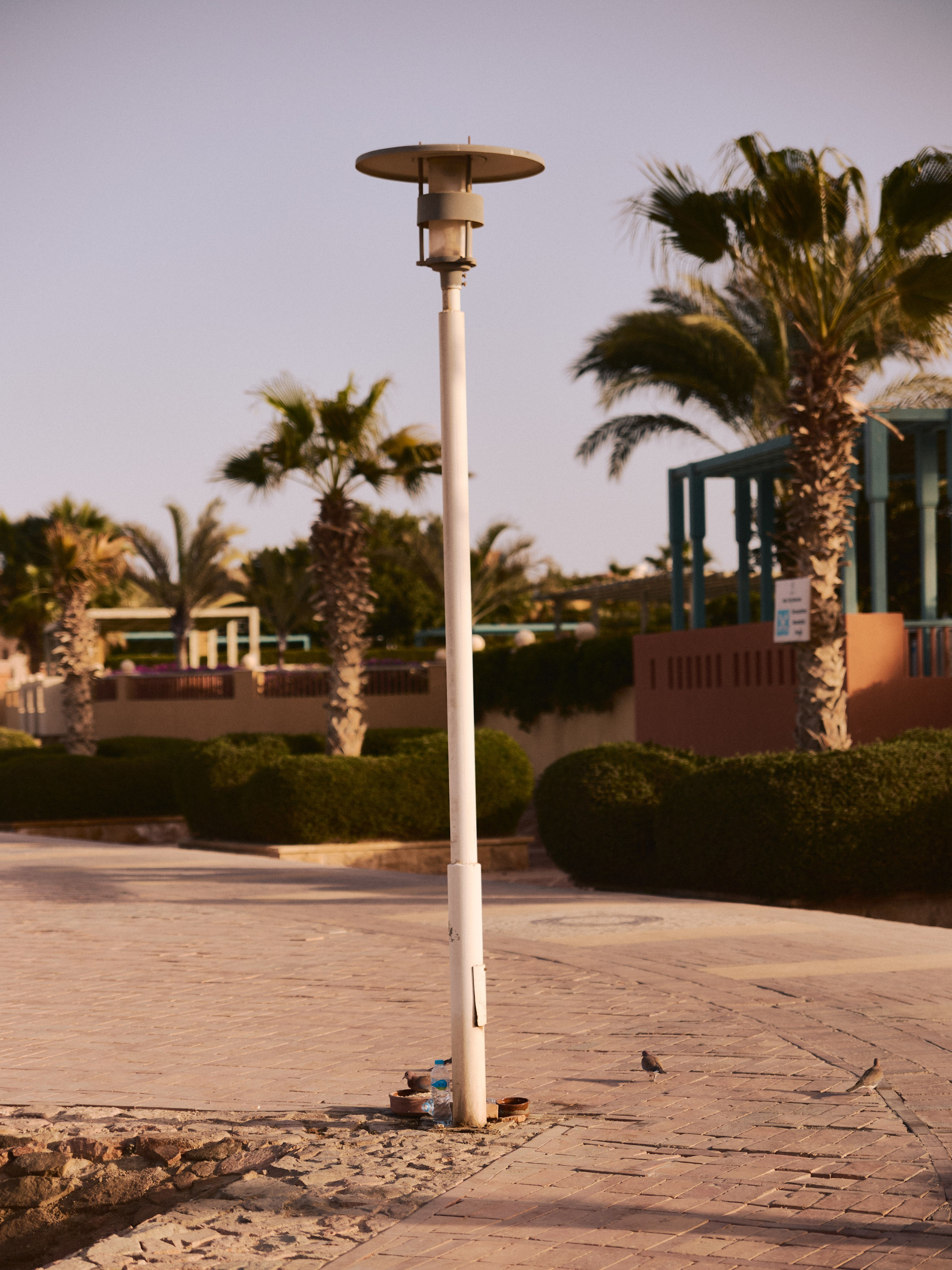 Природа сквозь. Jorgis Talè — photographer, kind person, teacher of arts and other mag