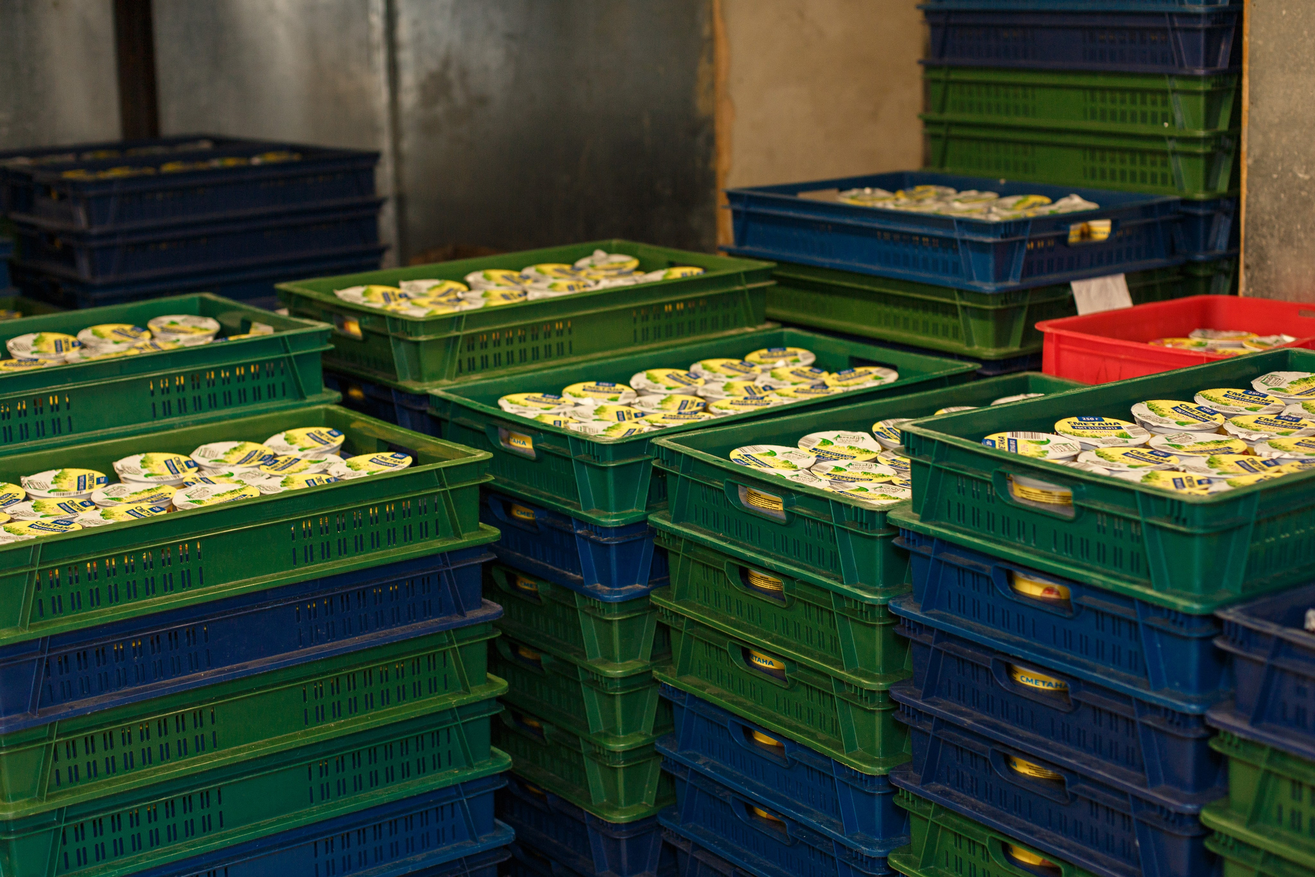 Шатурский Агропромышленный комбинат. Деловая и Бизнес съемка в  Москве Инесса Грушко