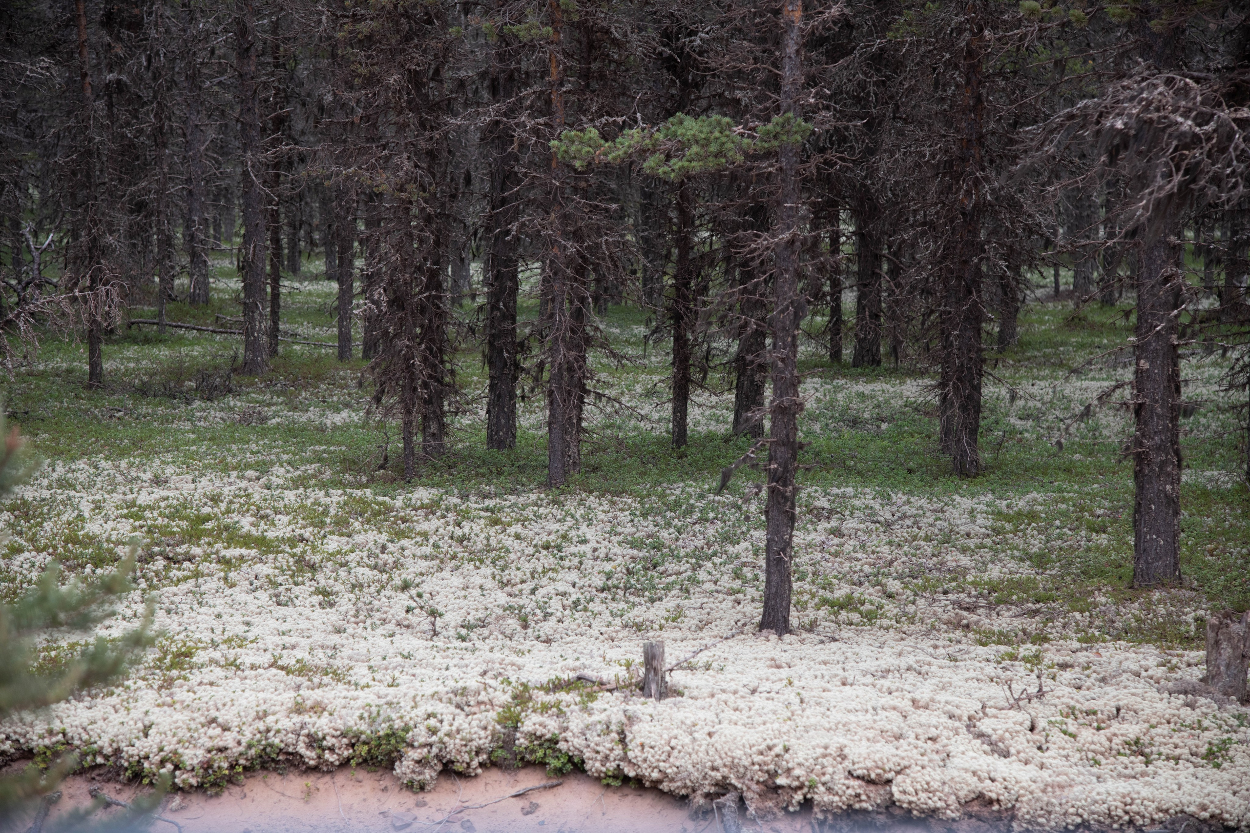 Кольский полуостров. Фотографирую для себя, своей семьи и друзей!