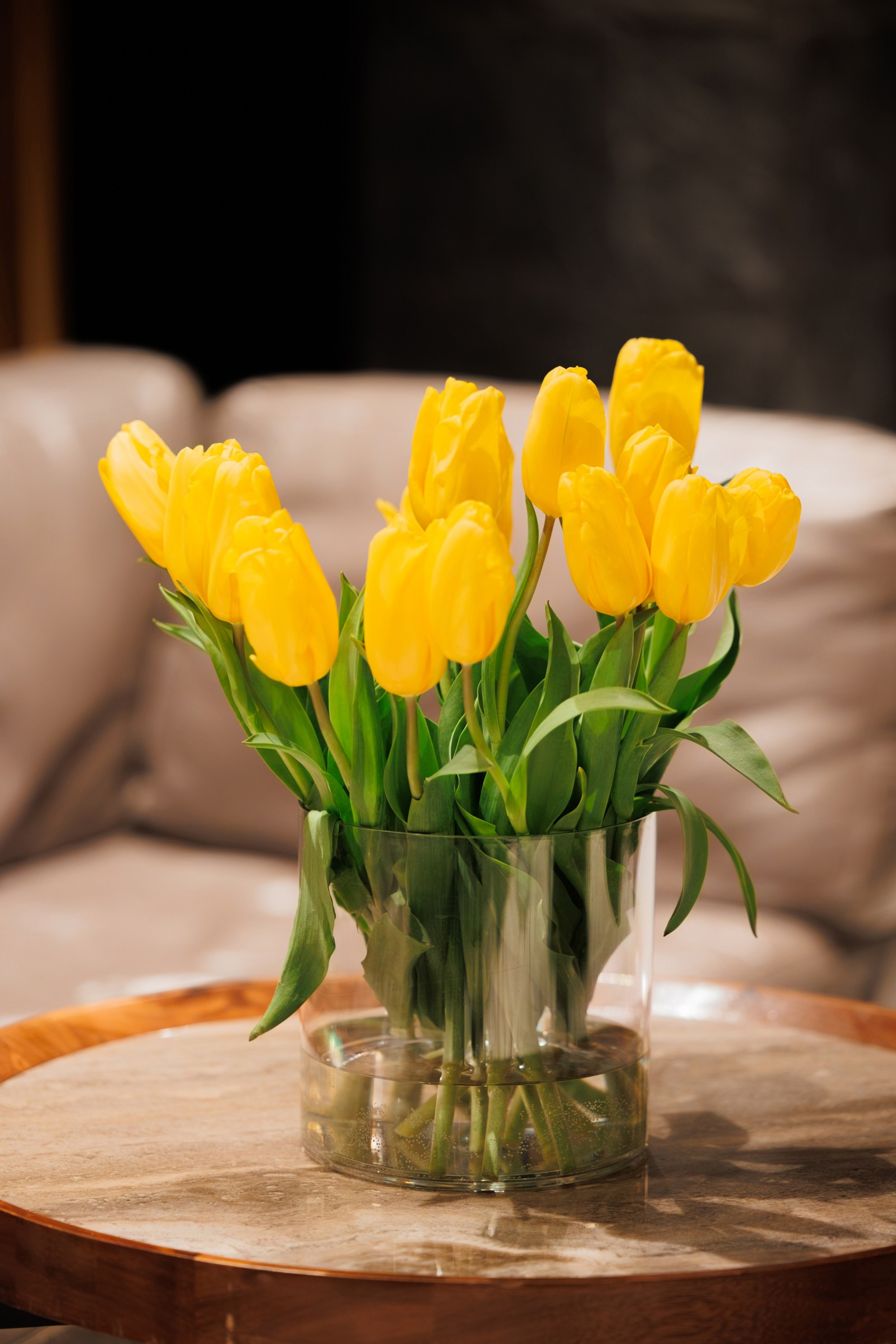 REGENT x InLove. СВОИ. ФОТООТЧЕТЫ-СОБЫТИЯ-МЕСТА