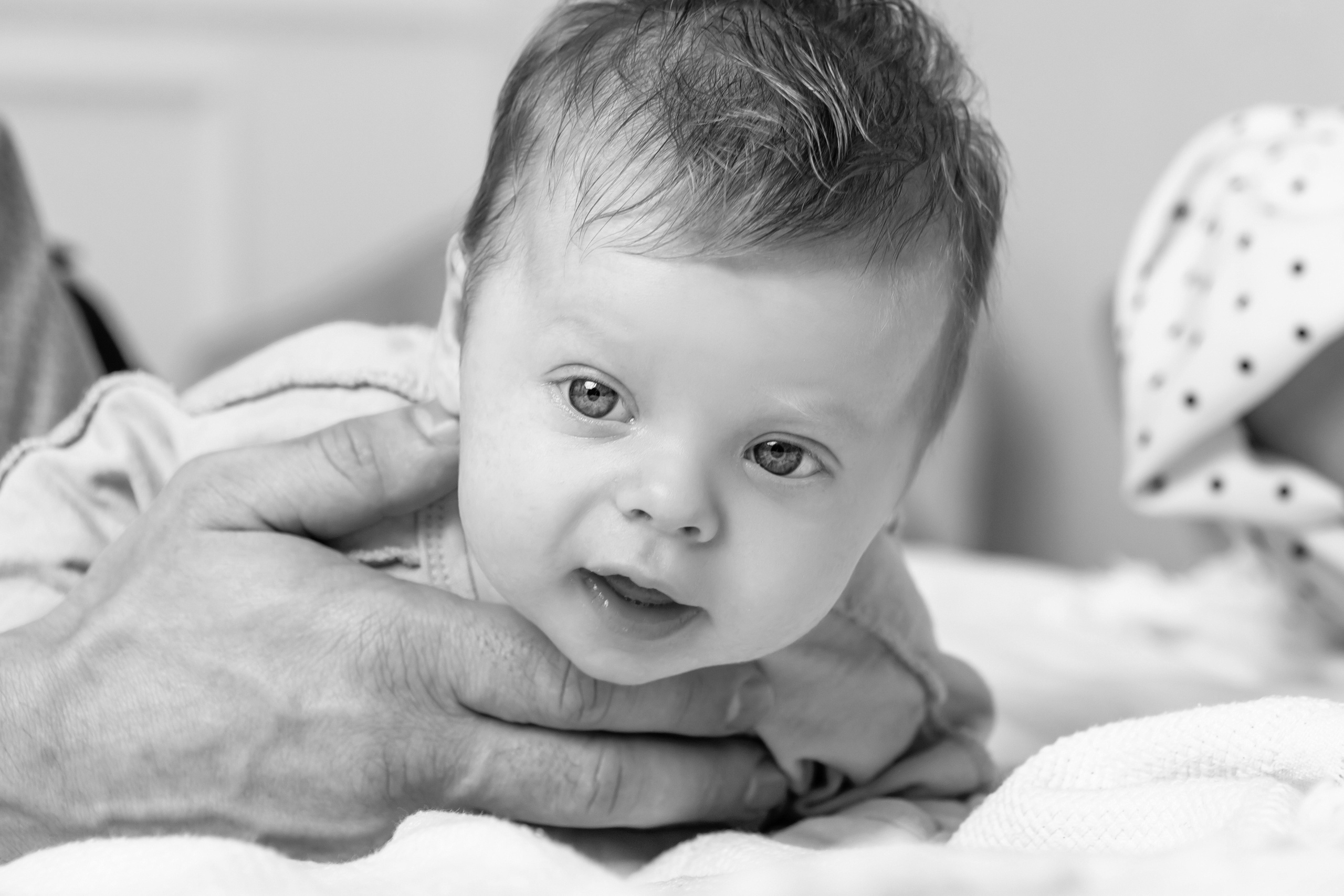 Дарья & Алексей & Гоша. Семейный и детский фотограф в Омске Елена Малахова