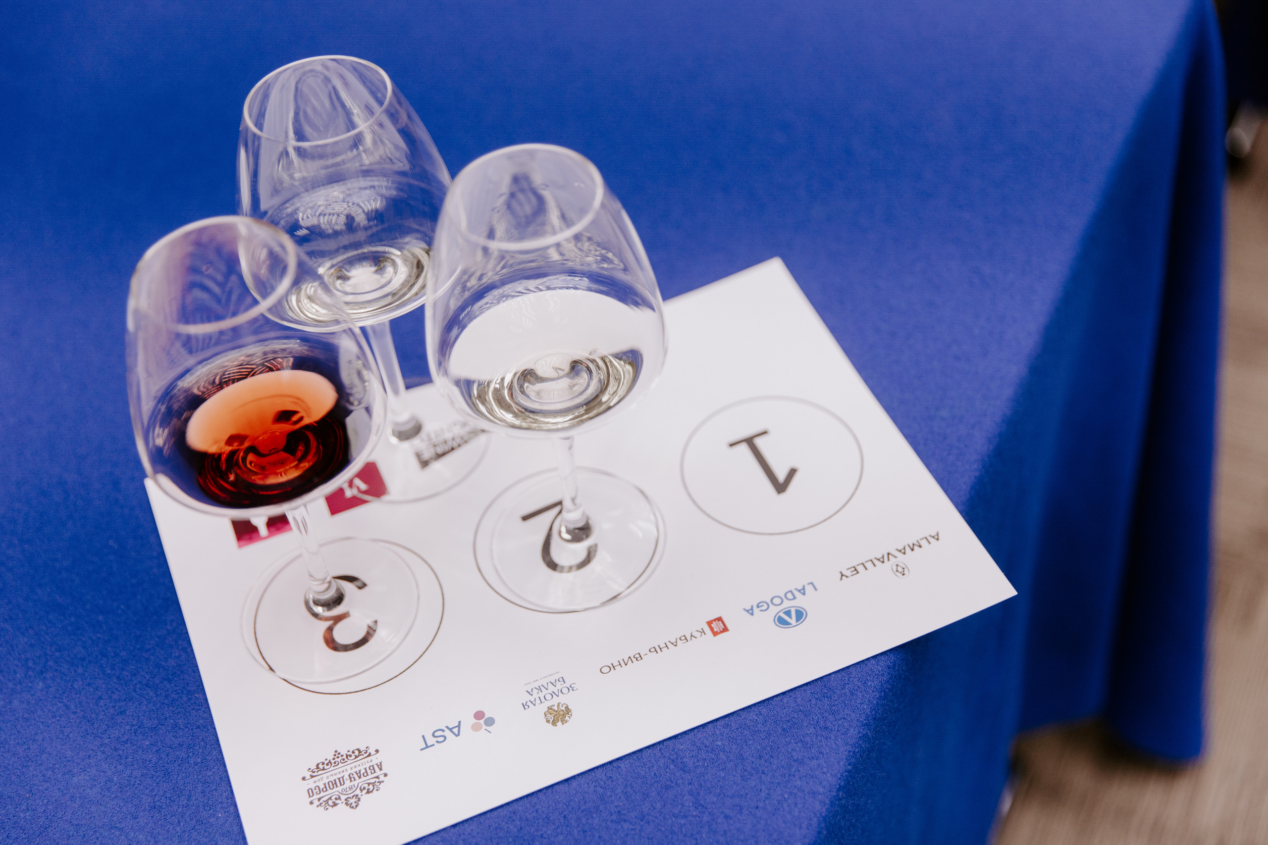 Конкурс ковистов. Фотограф Кристина