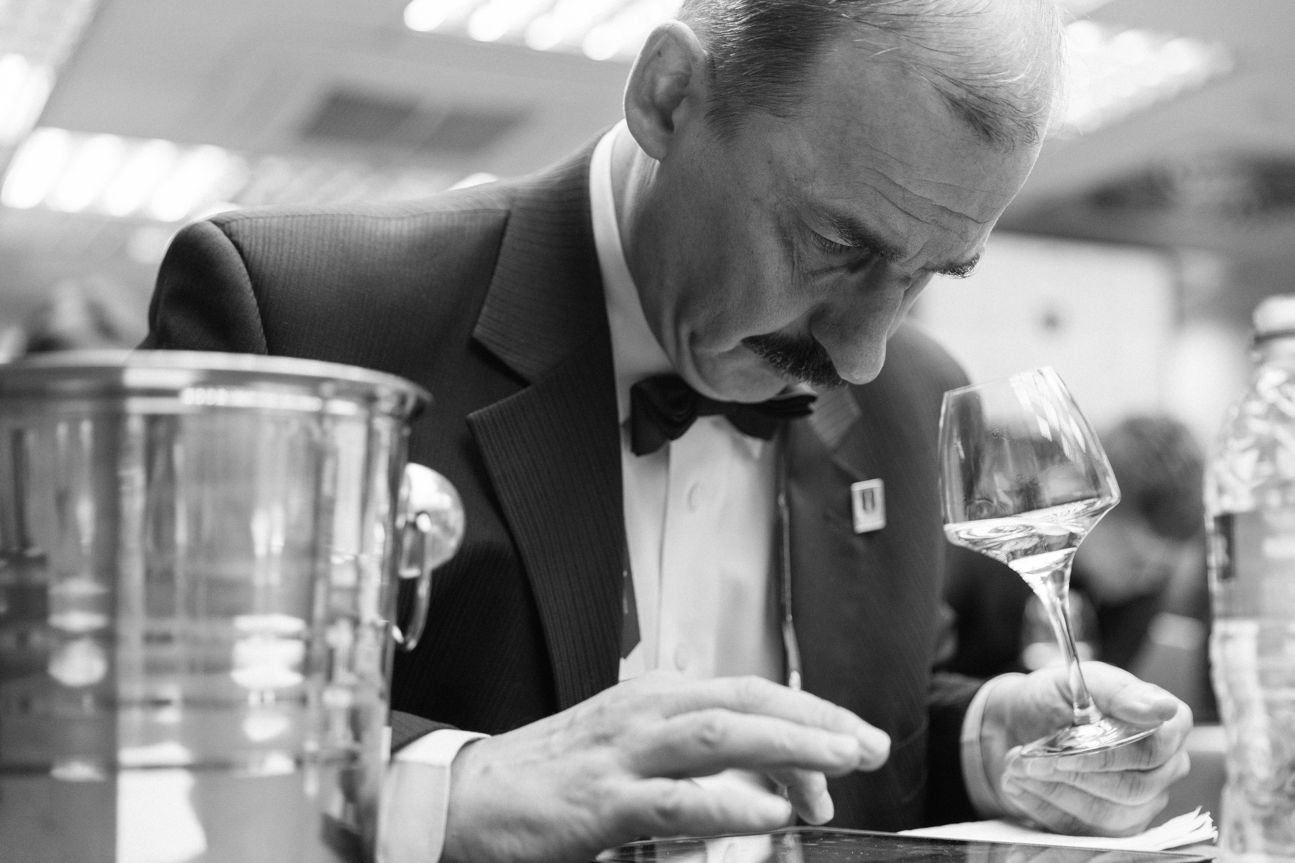 Конкурс ковистов. Фотограф Кристина