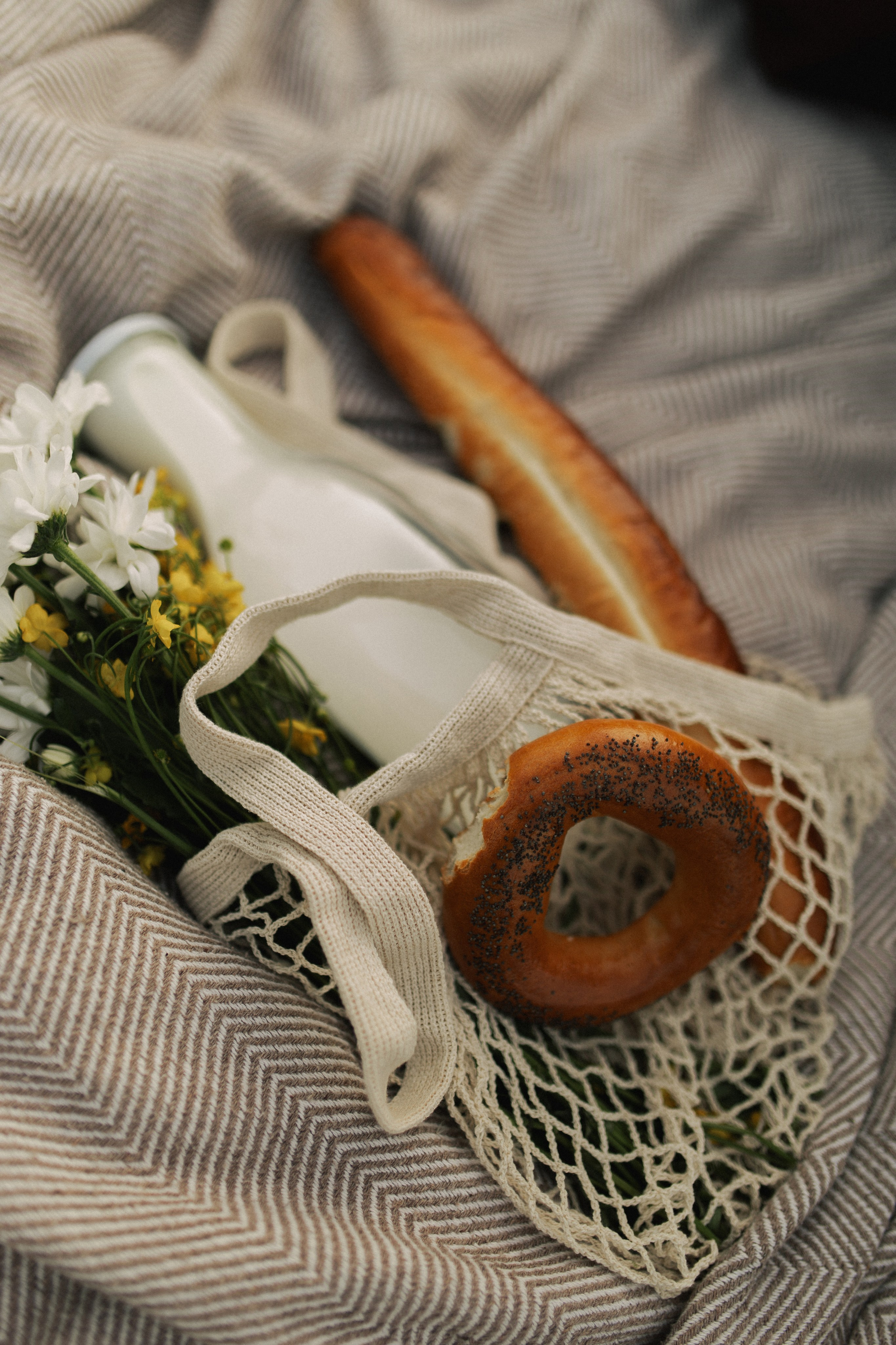 Лола и Софи. Главная