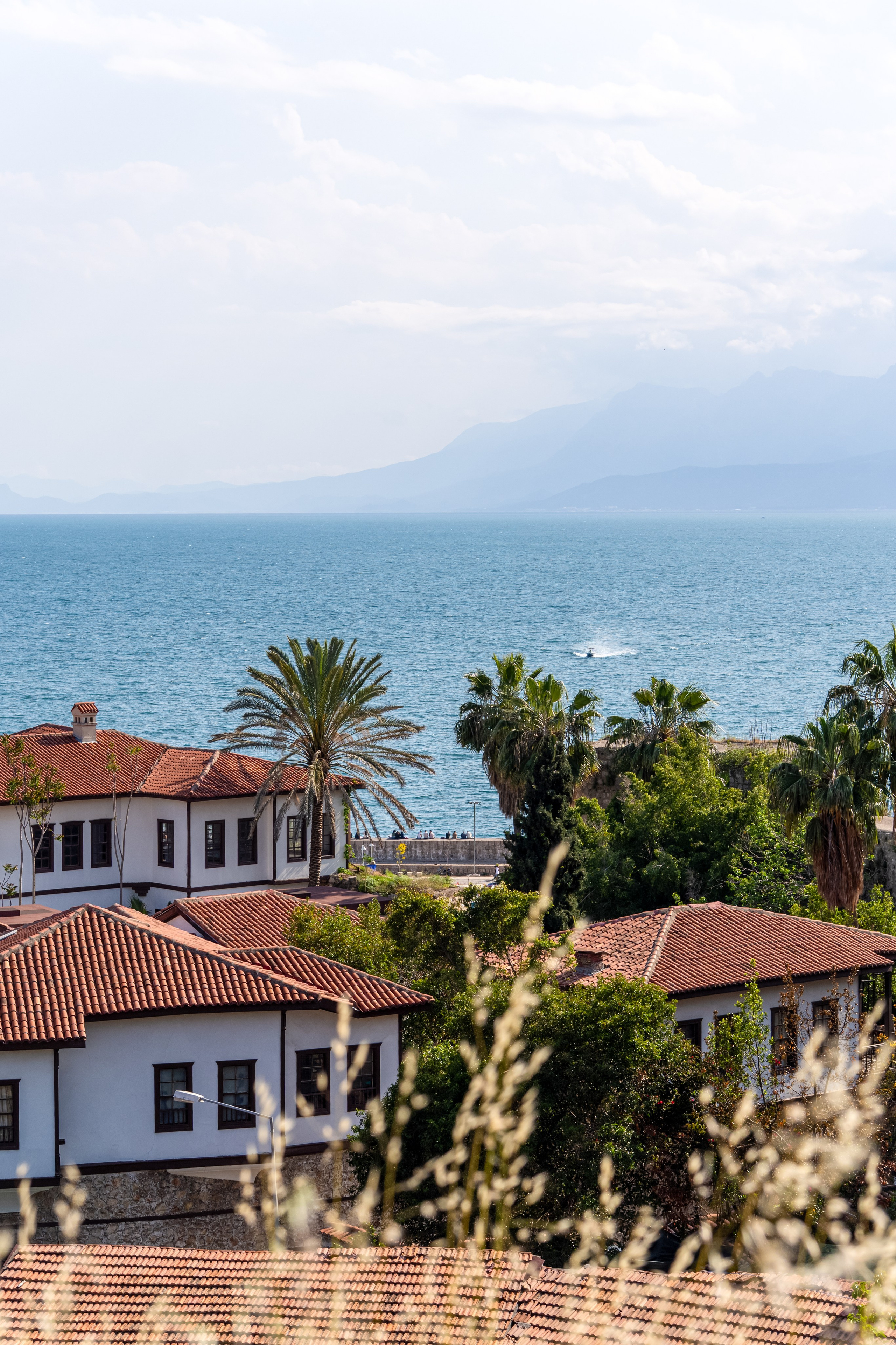 репортажный фотограф в Аланье,услуги репортажного фотографа в Аланье,репортажная фотосъёмка в Аланье,фотограф для мероприятий в Аланье,фотограф на корпоратив в Аланье,фотограф на конференцию в Аланье,фотограф на бизнес-мероприятие в Аланье,репортажный фотограф на свадьбу в Аланье,фотограф на юбилей в Аланье,фотограф на день рождения в Аланье,фотограф на вечеринку в Аланье,фотограф на концерт в Аланье,репортажная фотосъёмка для блогеров в Аланье,фотограф на фестиваль в Аланье,фотограф на спортивное мероприятие в Аланье,репортажная фотосессия для СМИ в Аланье,корпоративный репортажный фотограф в Аланье,репортажная съёмка для отелей в Аланье,репортажная съёмка для ресторанов в Аланье,лучший репортажный фотограф в Аланье,репортажная фотосъёмка под ключ в Аланье,фотограф для деловых встреч в Аланье,фотограф на выставку в Аланье,фотограф на презентацию в Аланье,фотограф для бизнес-форума в Аланье,репортажный фотограф для мероприятий в Аланье,фотограф для концертов и шоу в Аланье,фотограф для театральных постановок в Аланье,репортажный фотограф для спортивных событий в Аланье,фотограф на утренник в Аланье,репортажная фотосъёмка детей в Аланье