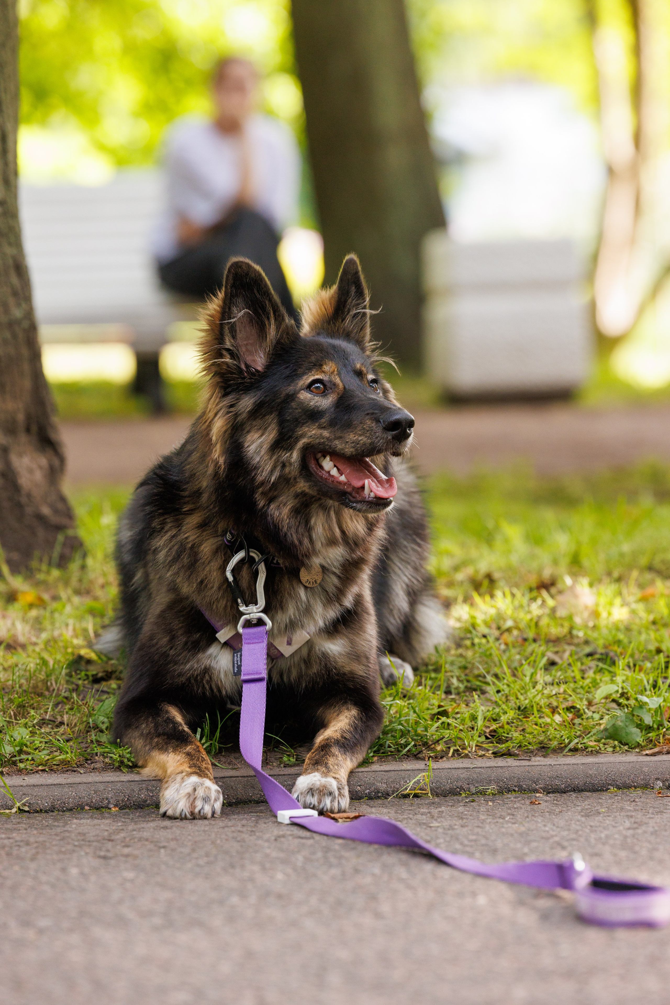 PetShopDays2026. Фотограф Александр Заломаев