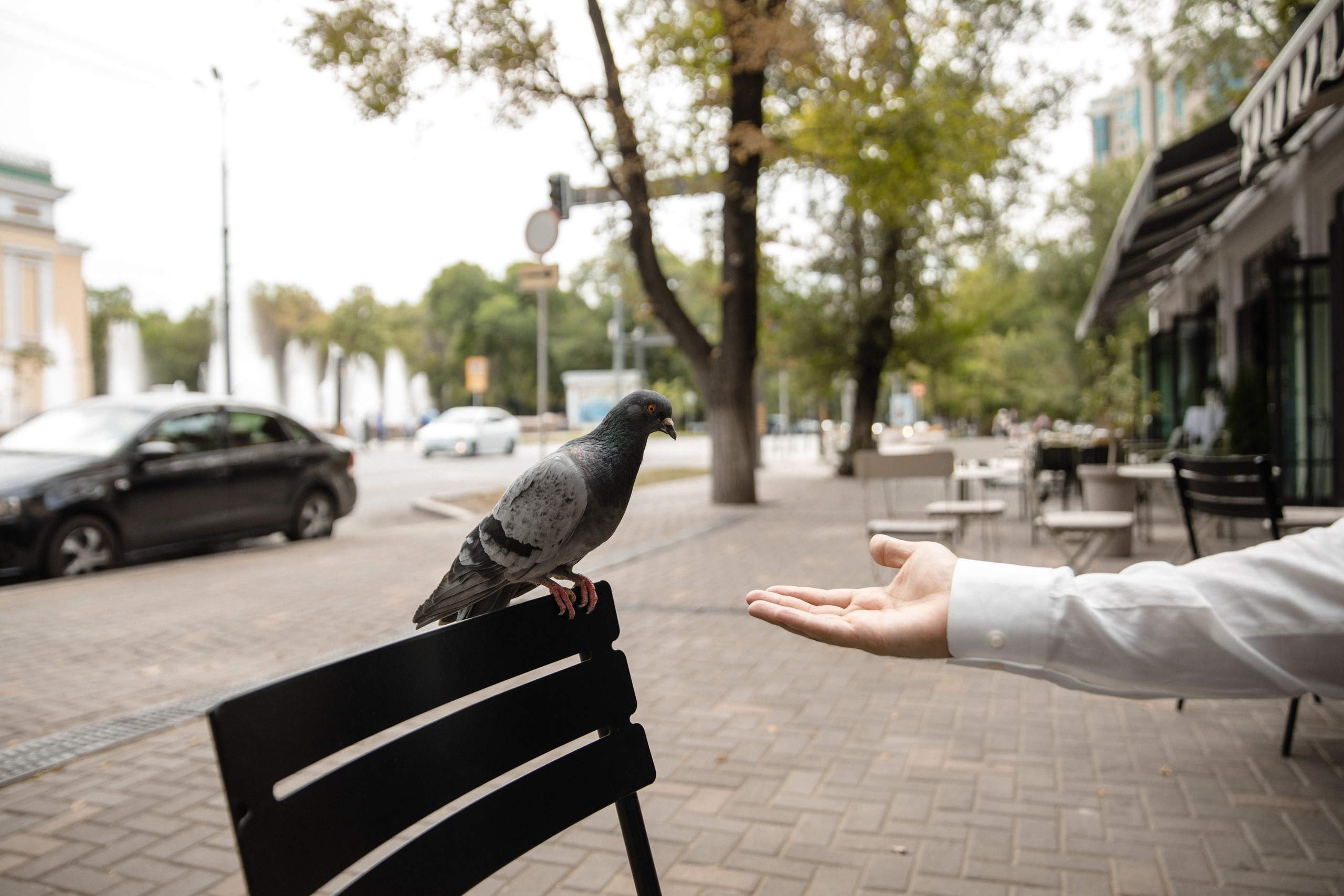 Анонс со свадьбы Азиз и Асем. Свадебный фотограф в Алматы Николай Киреев