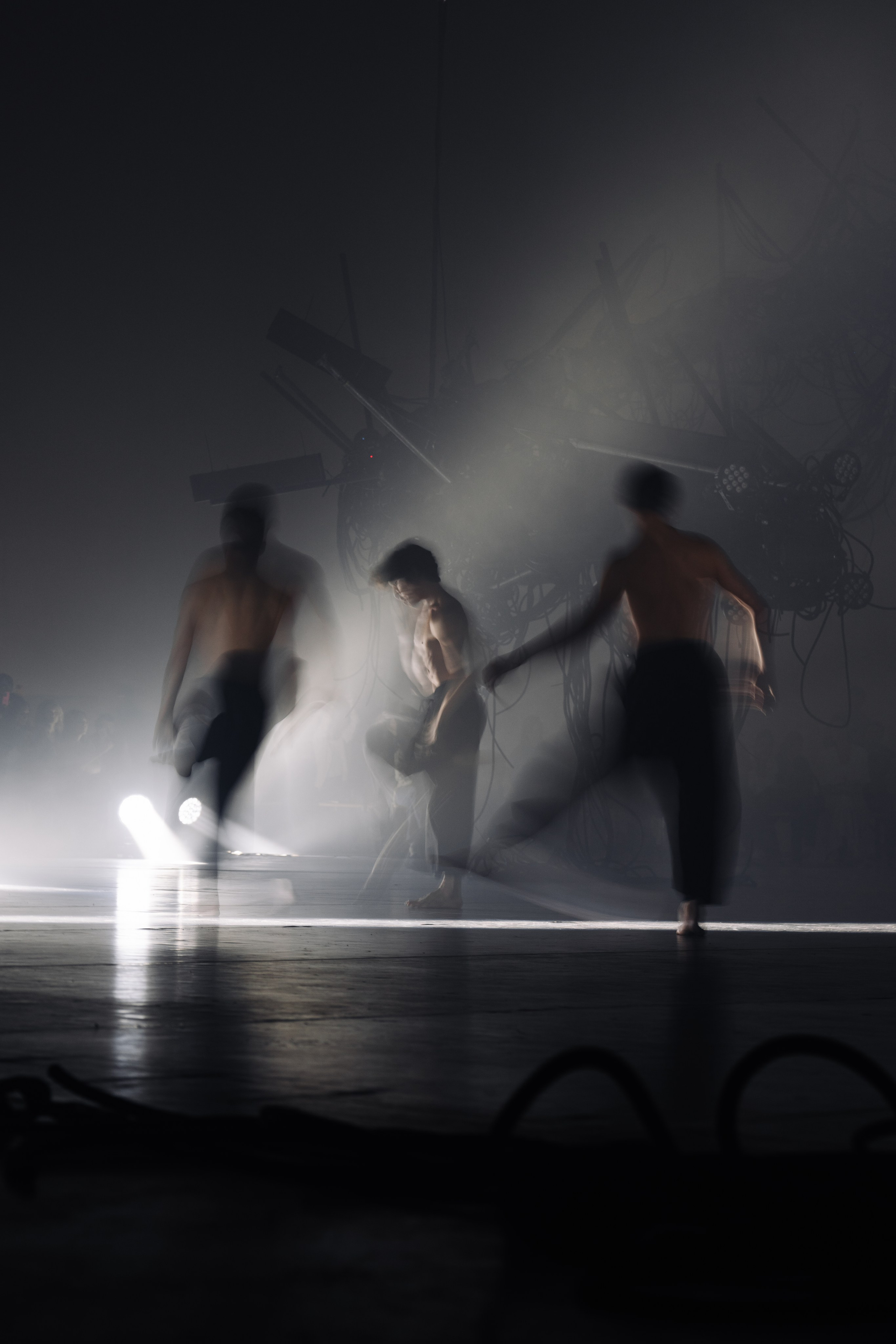 PERFORMA, The Hour of the Horse. @tomrus: Рустам Шагиморданов — фотограф