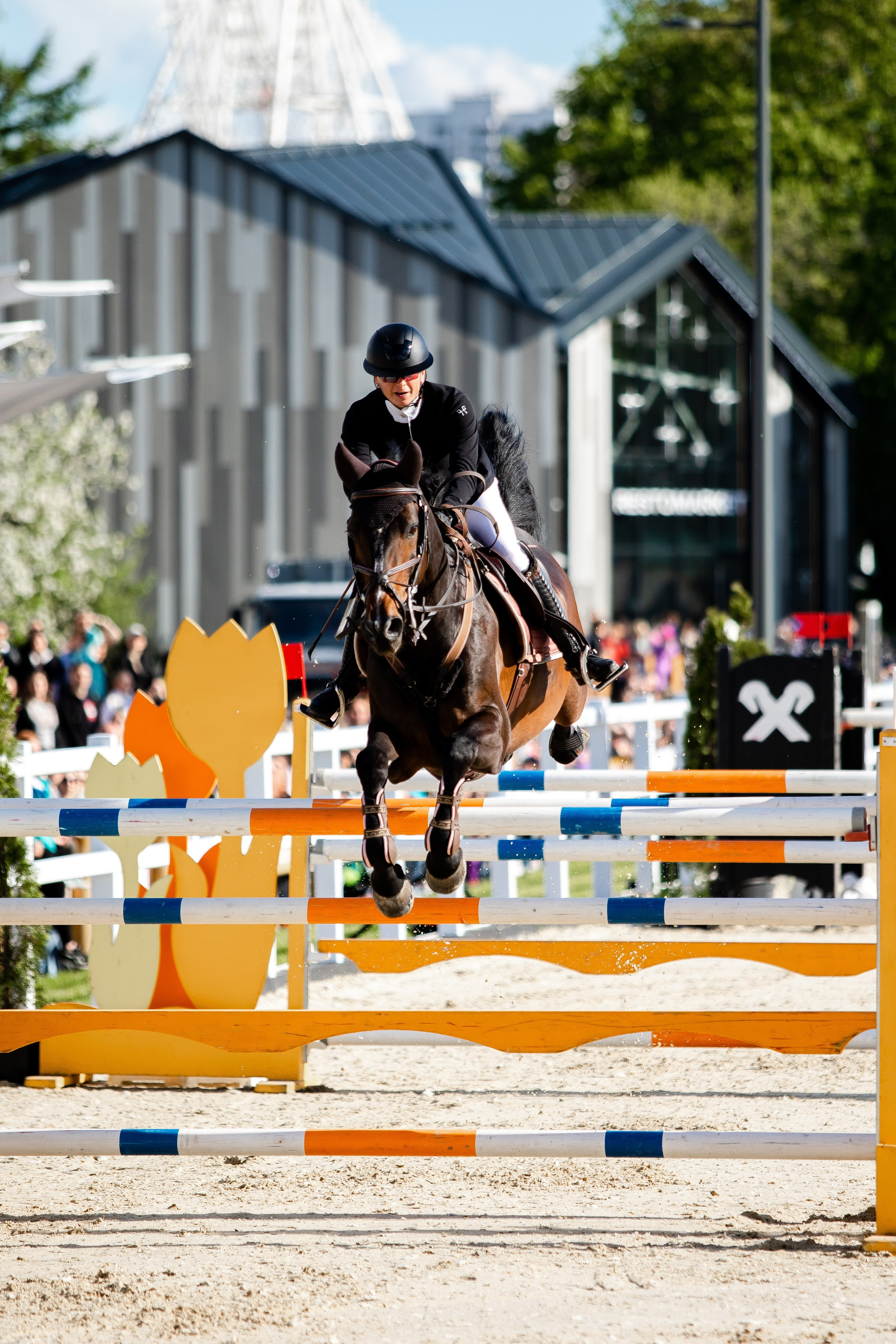 Турниры. Veronika Makeeva horse photo