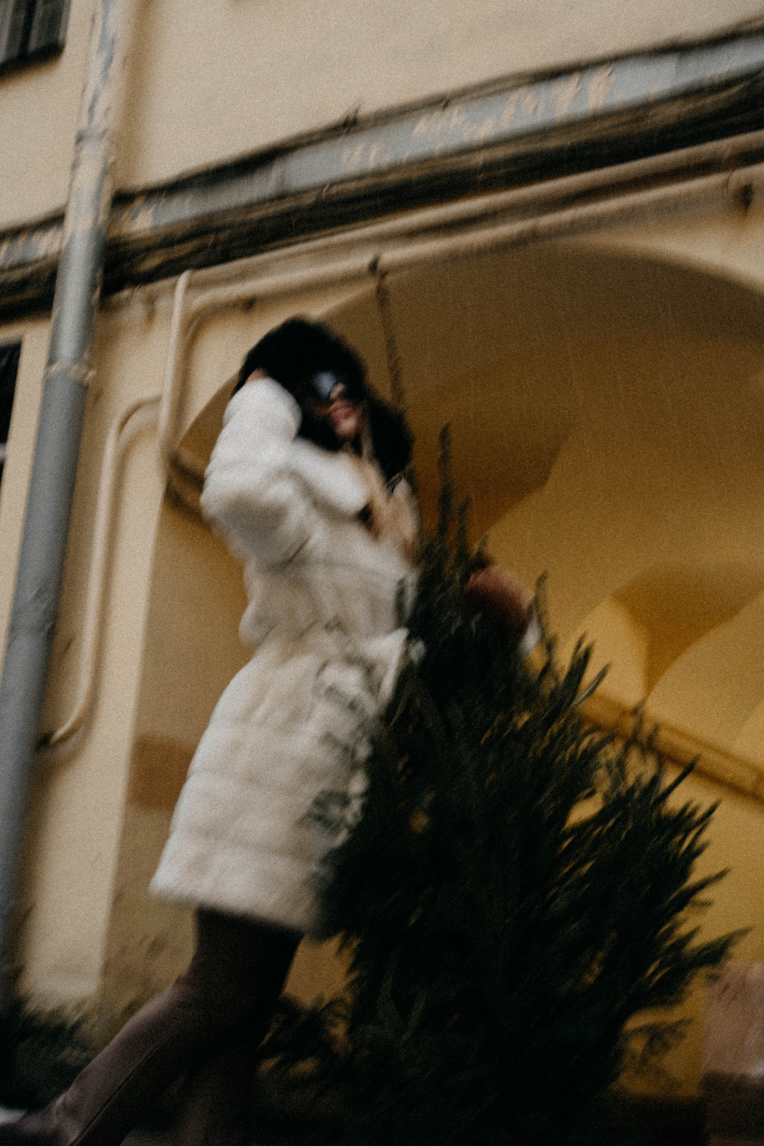 Новогодняя. Профессиональный фотограф, Санкт-Петербург — Виктория Богомолова