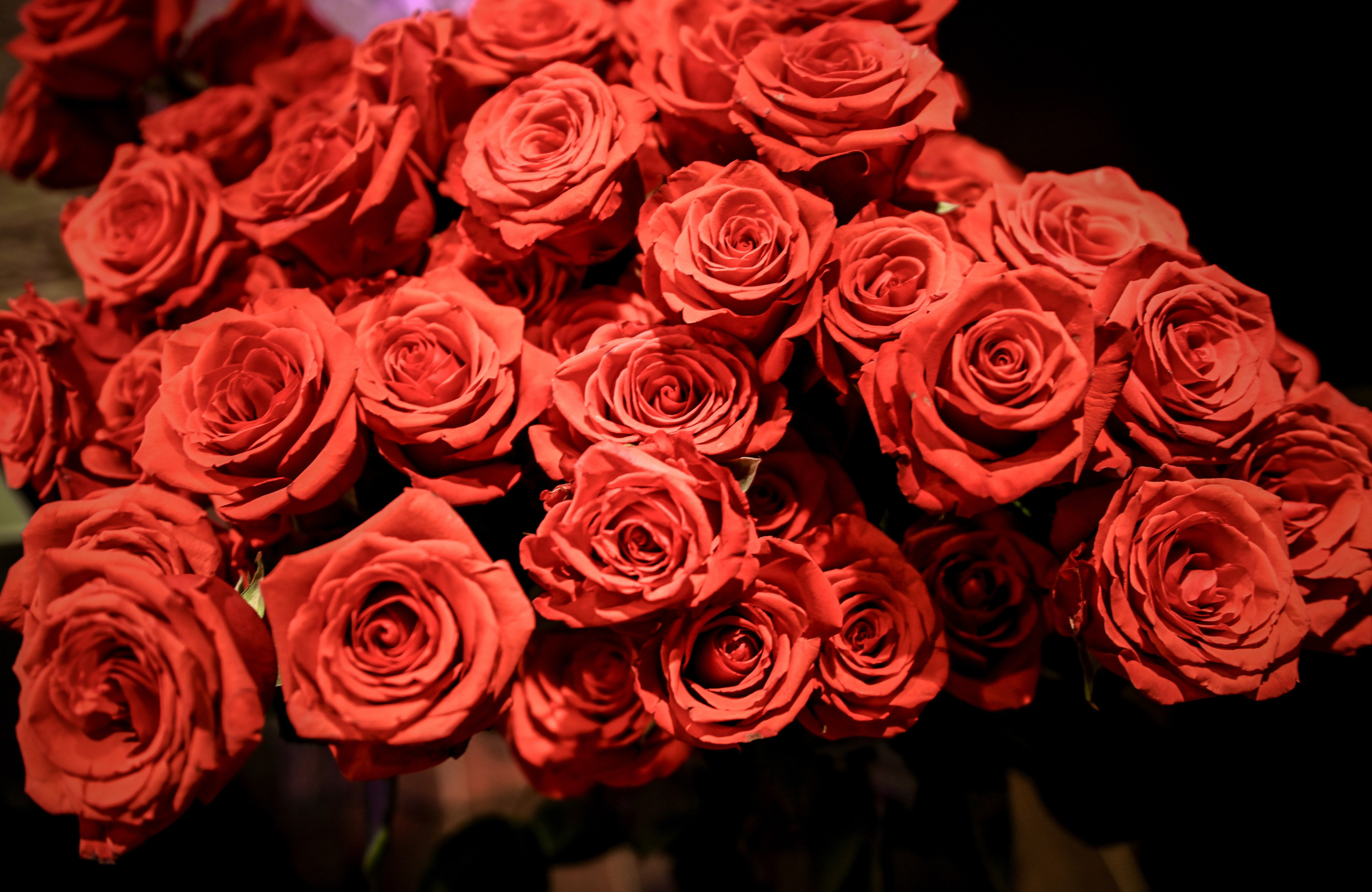 День рождения. Свадебный, семейный, детский, контент фотограф в Омске Максим Ильин