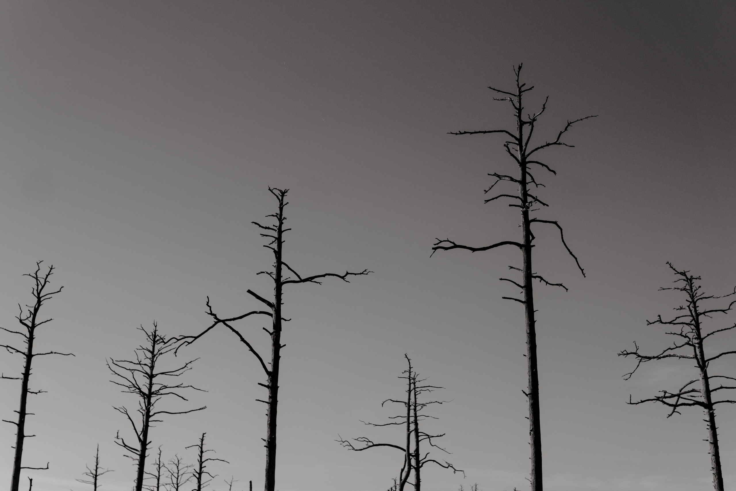 EXHIBITION. Репортажный и интерьерный фотограф, фотохудожник