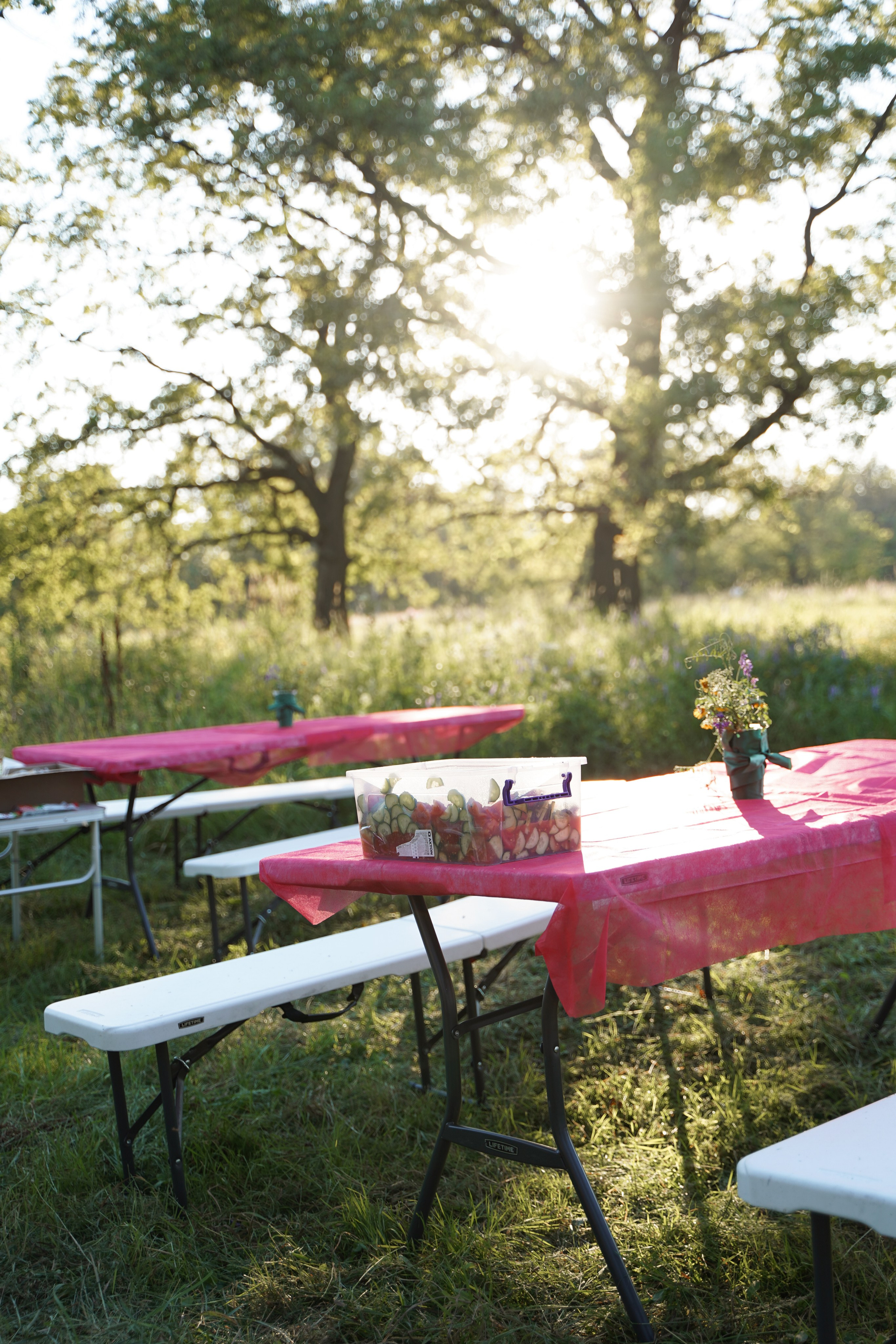 Палаточный форум для взрослых CAMPot 2024. Фотограф Надежда Погребняк | Рязань | Москва