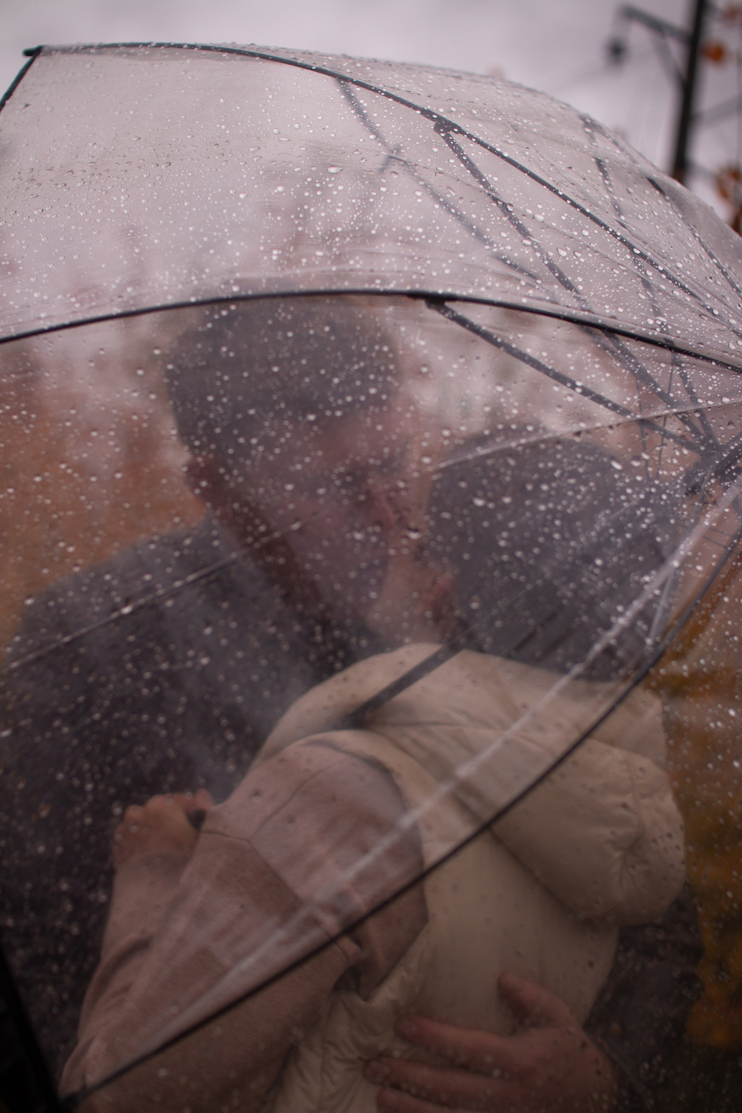 Зубовы Family Осень. Фотограф в Челябинске Филимонова Дарья
