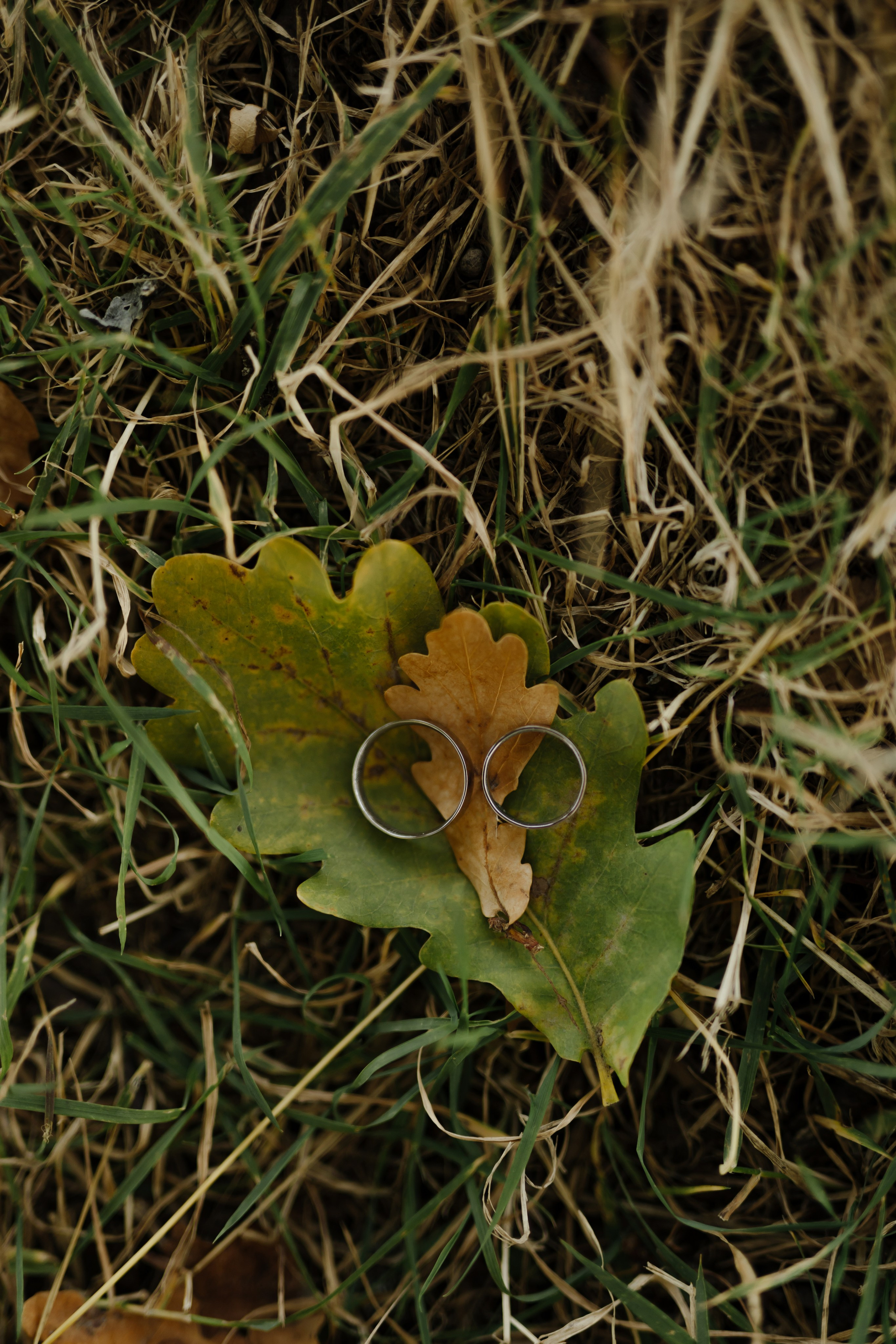 Свадьба Никиты и Алёны. Фотограф Кольчугино/Владимир/Москва Елизавета Иода