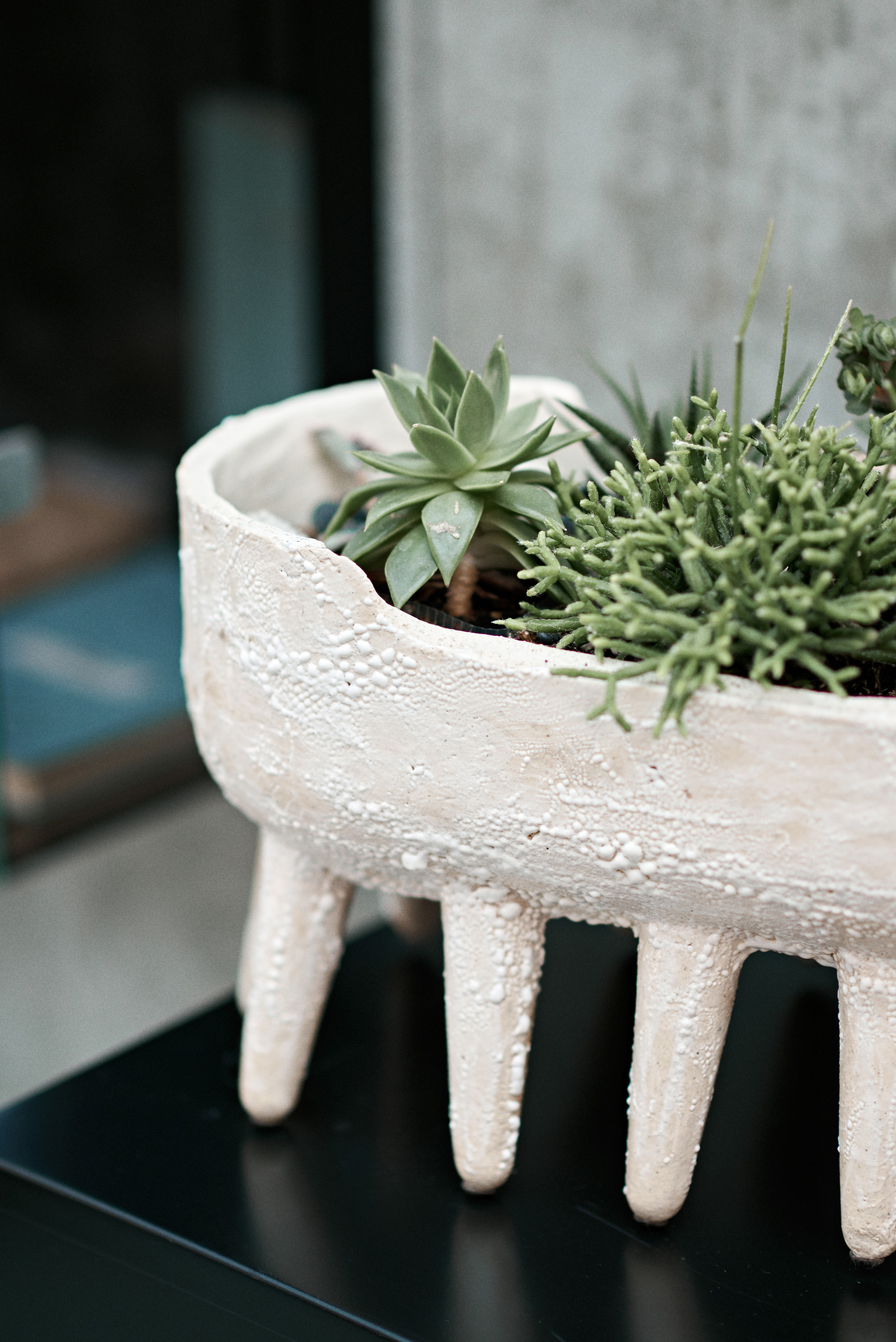 1.07.23 Ваня и Аня. Свадебный фотограф Юлия Гусева