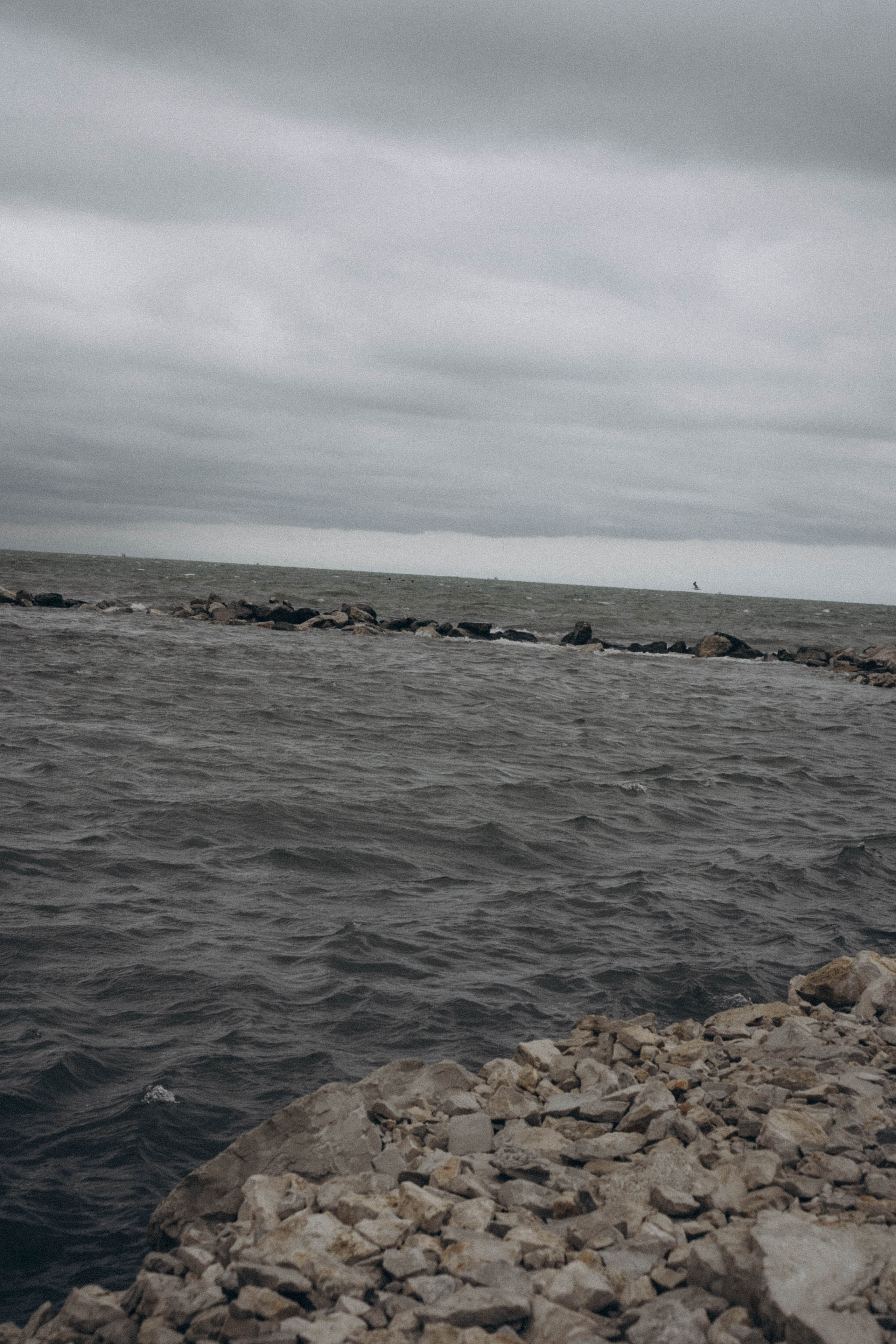 Кавказ. Профессиональный фотограф, Санкт-Петербург — Виктория Богомолова