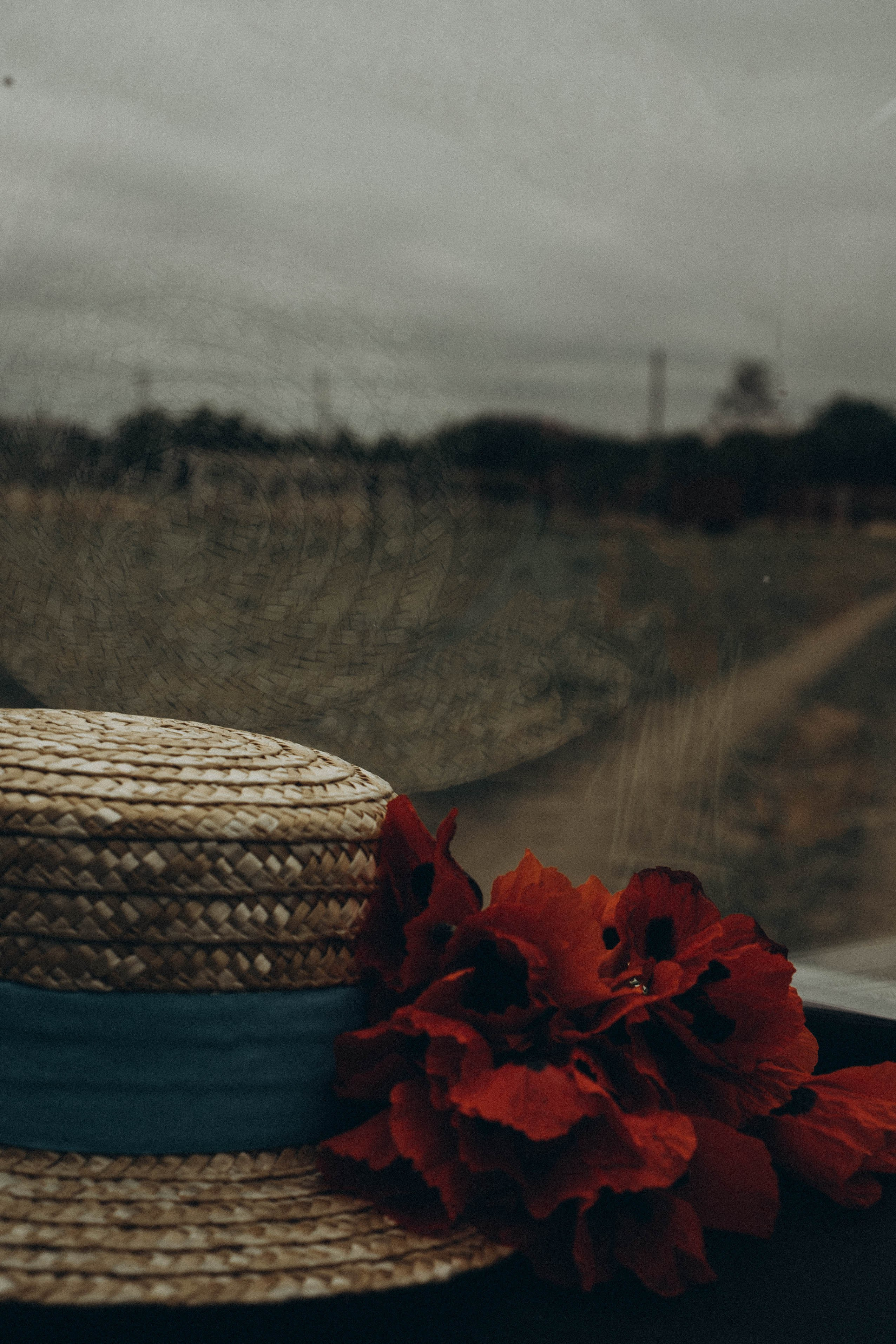 Кавказ. Профессиональный фотограф, Санкт-Петербург — Виктория Богомолова