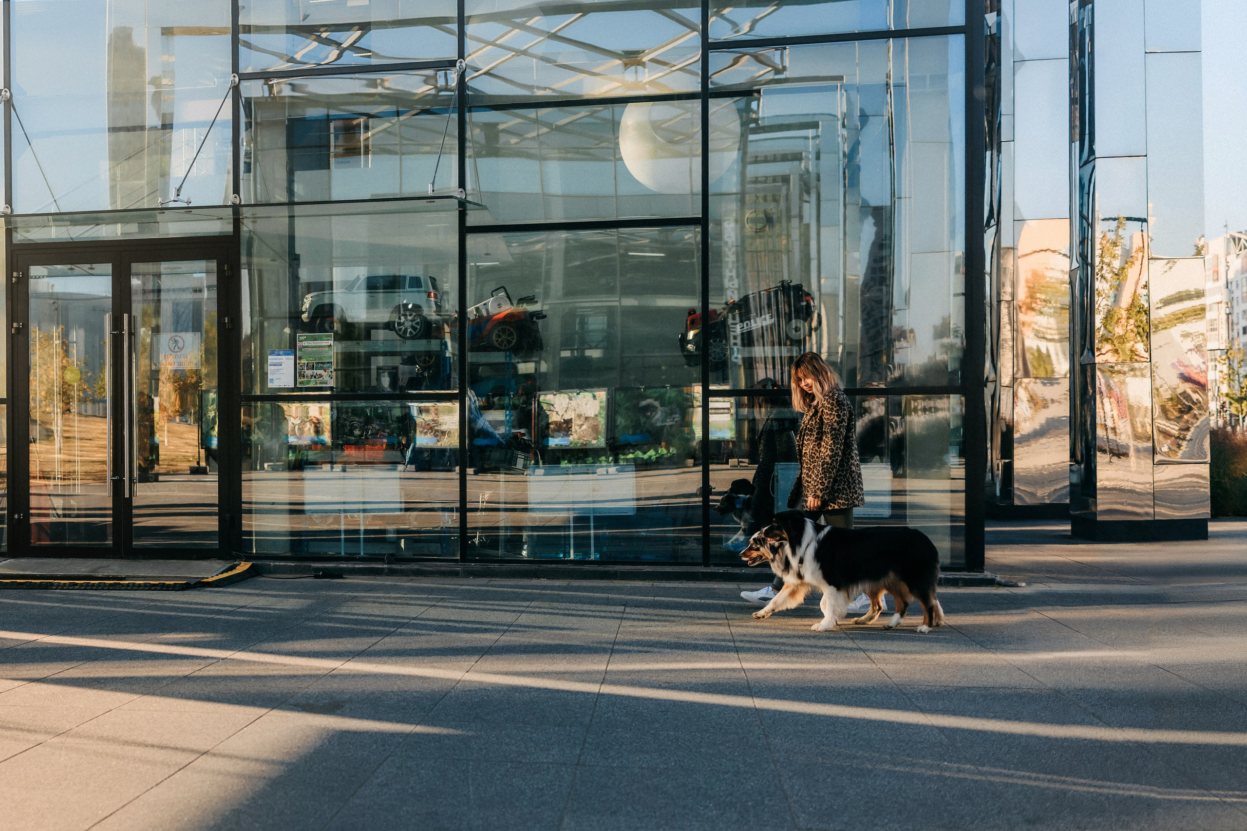 Аня, Чарли и Ева. Фотограф-анималист Елена Радченко, Москва