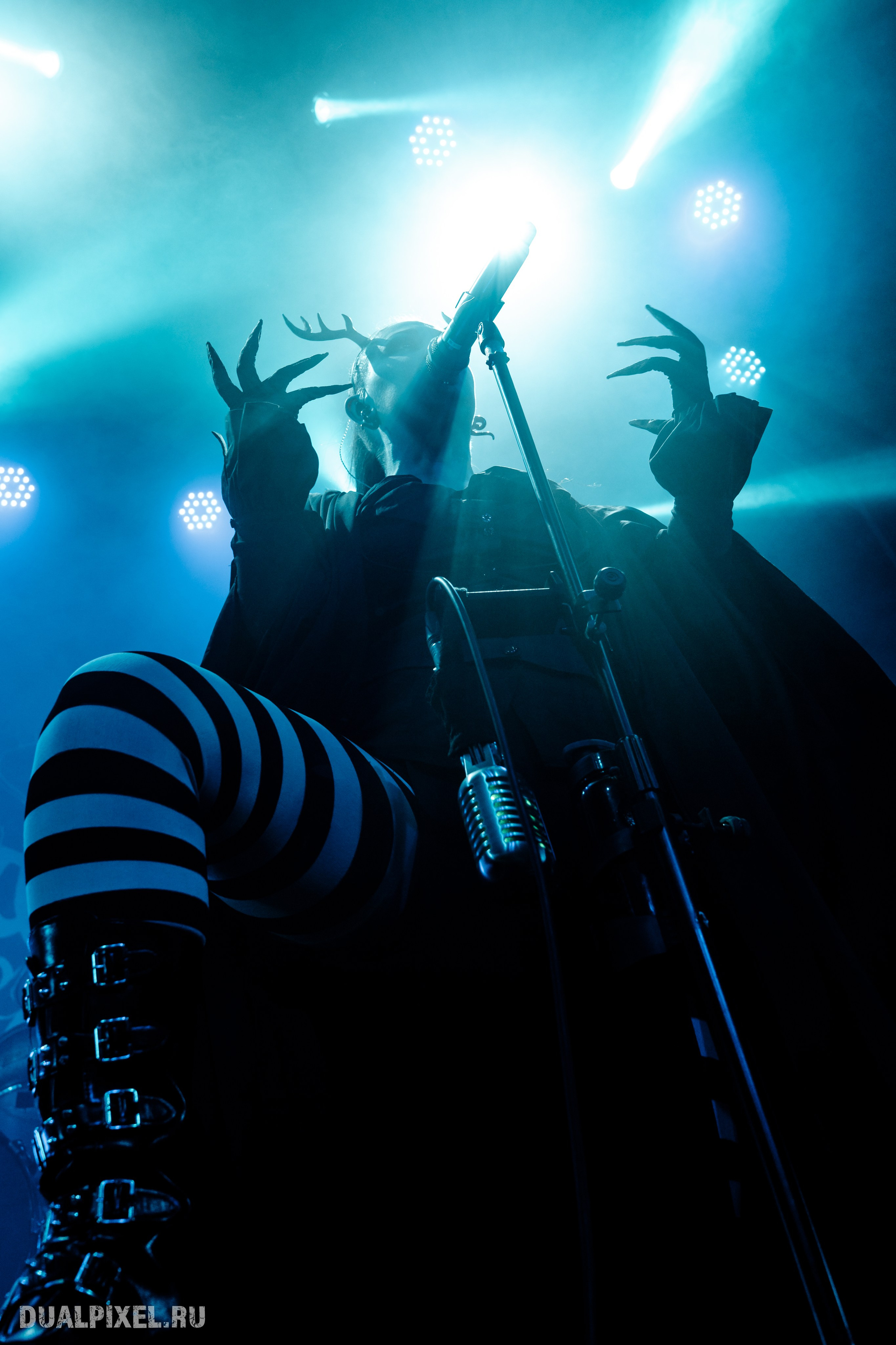 TARDIGRADE INFERNO. Магия музыки в кадре: Концертная Фотография