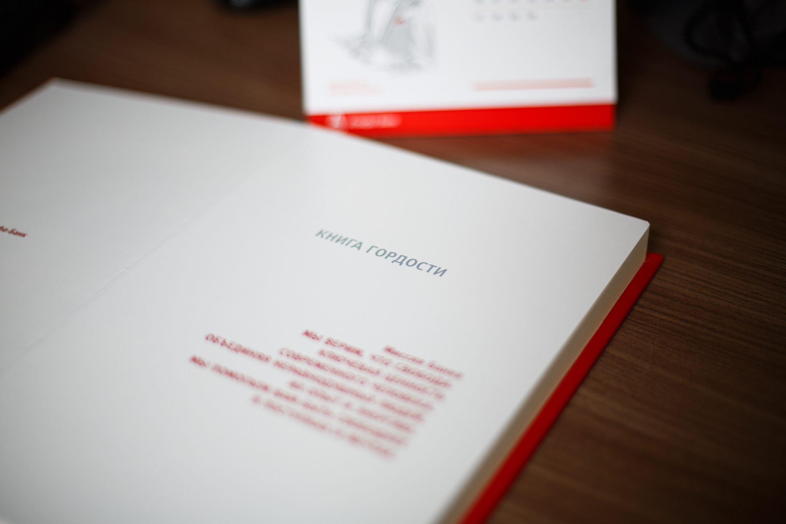 Книга Гордости. Портретный фотограф Санкт-Петербург Москва Андронова Юлия