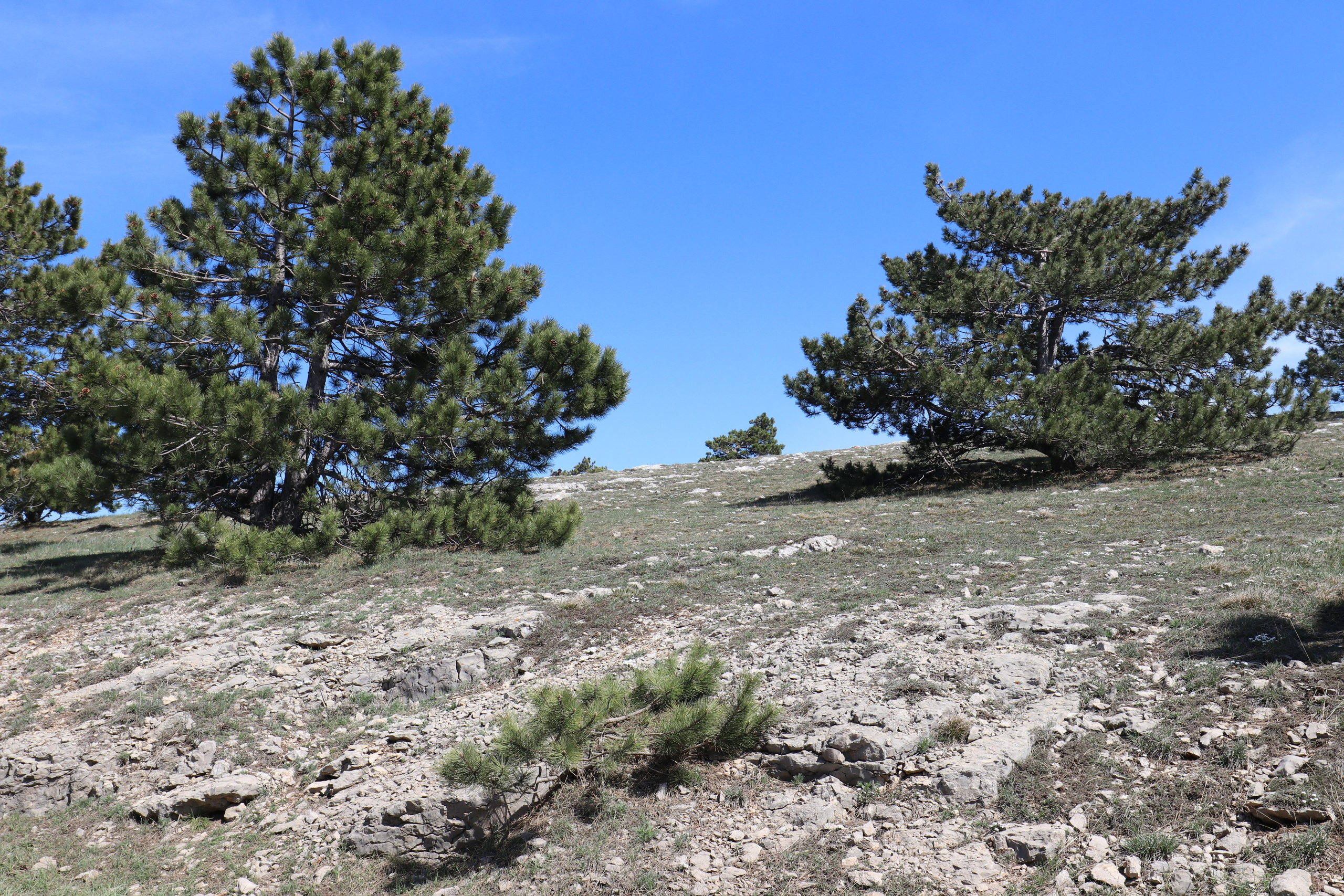 Крым. ЮБК (Бахчисарай, Кастрополь, Таракташская тропа). Май 2021. Путешественник-фотограф из Санкт-Петербурга Татьяна Свистулина