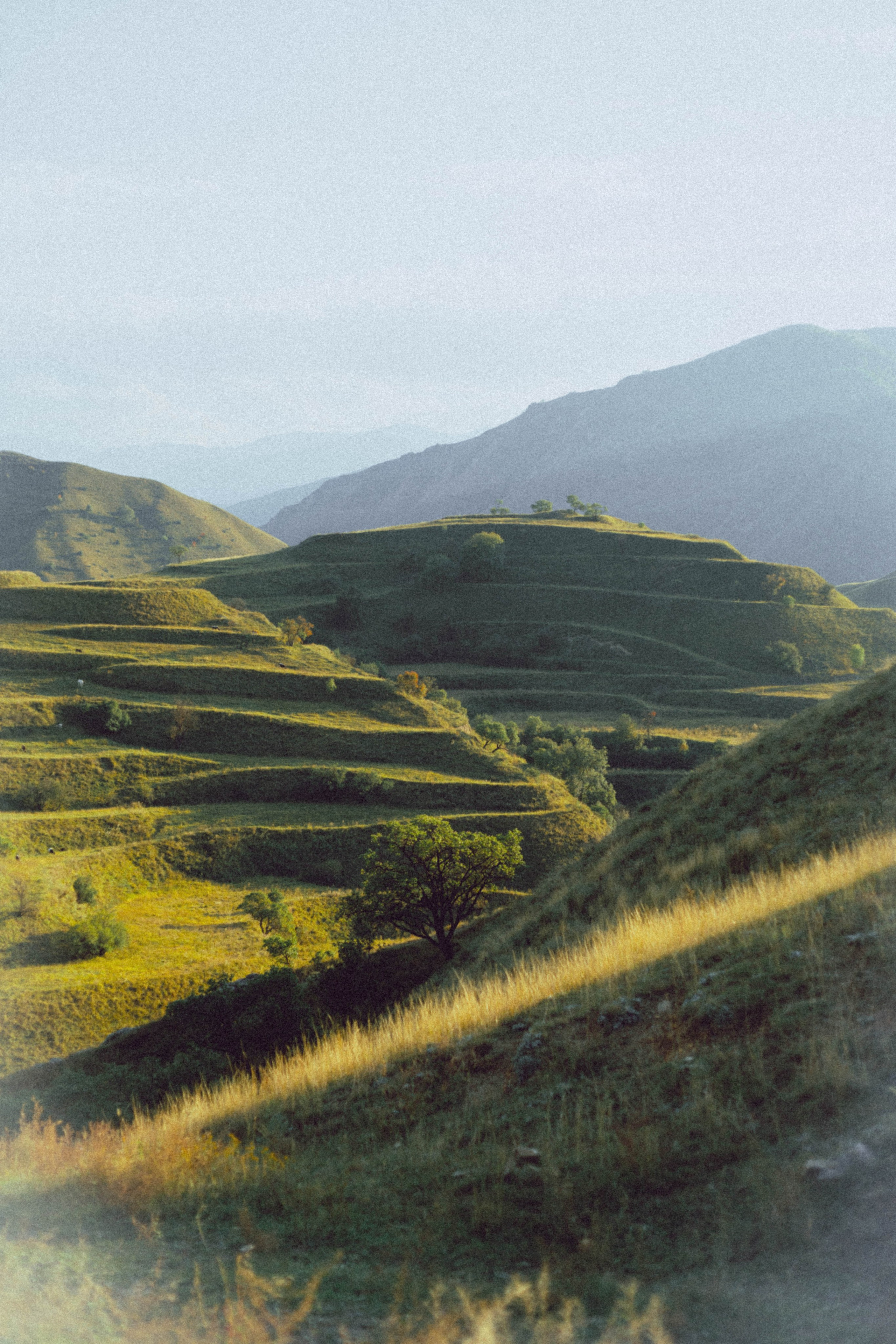 Travel. Фото, видео и контент съемки в Москве