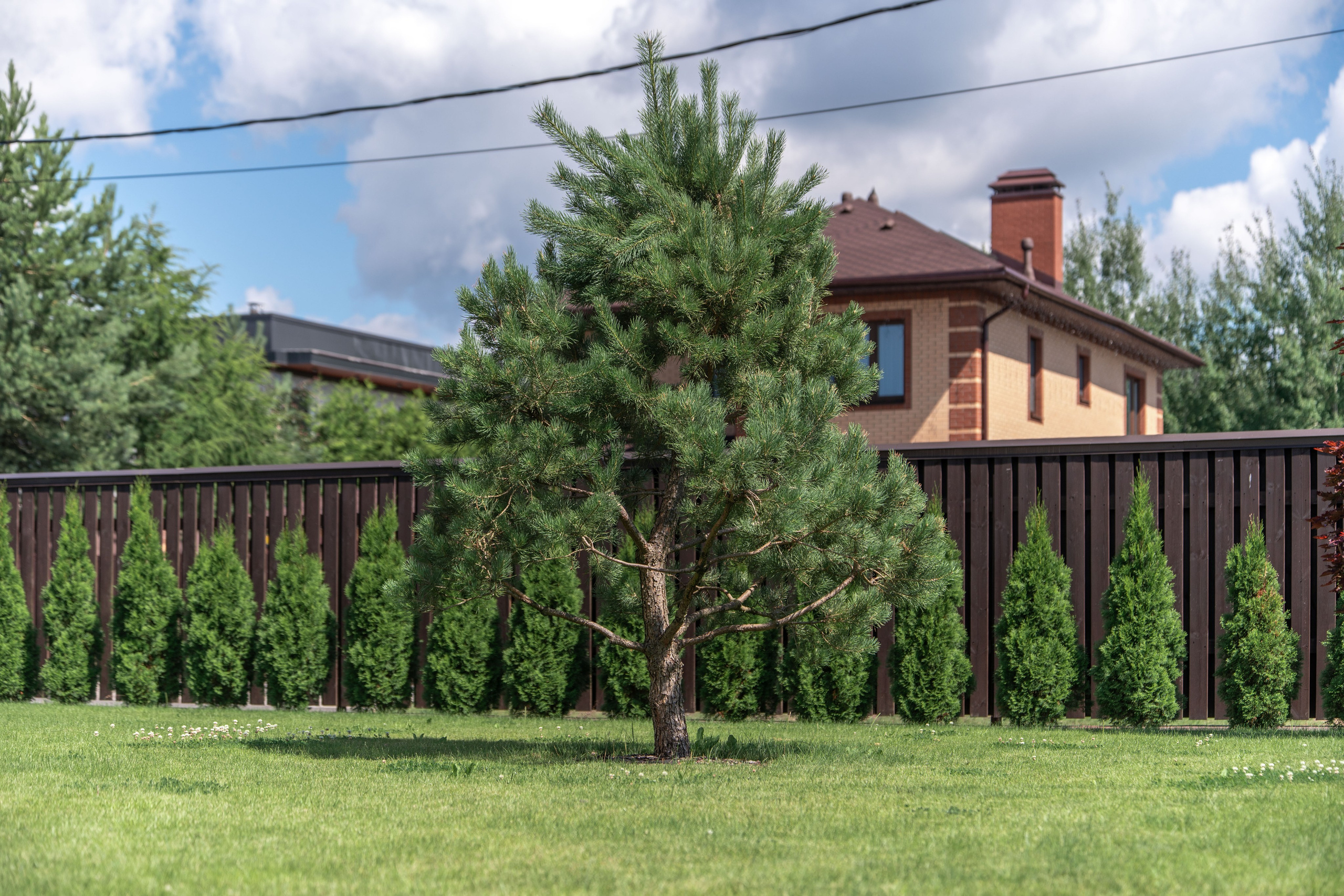 Интерьерная Съемка. Услуги фотографа СПб. Фотограф видеограф Игорь Рисар