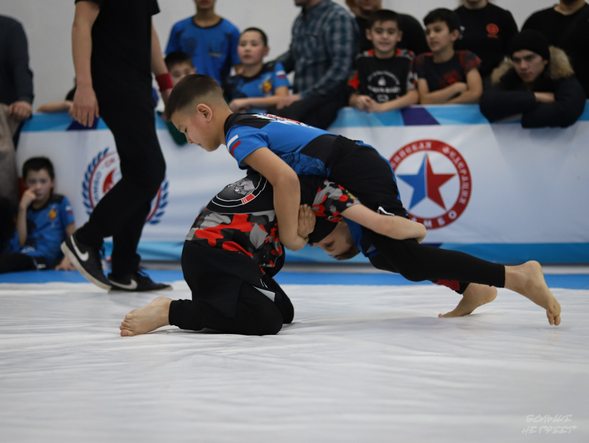 GORILLA PRIDE CUP. Больше не греет