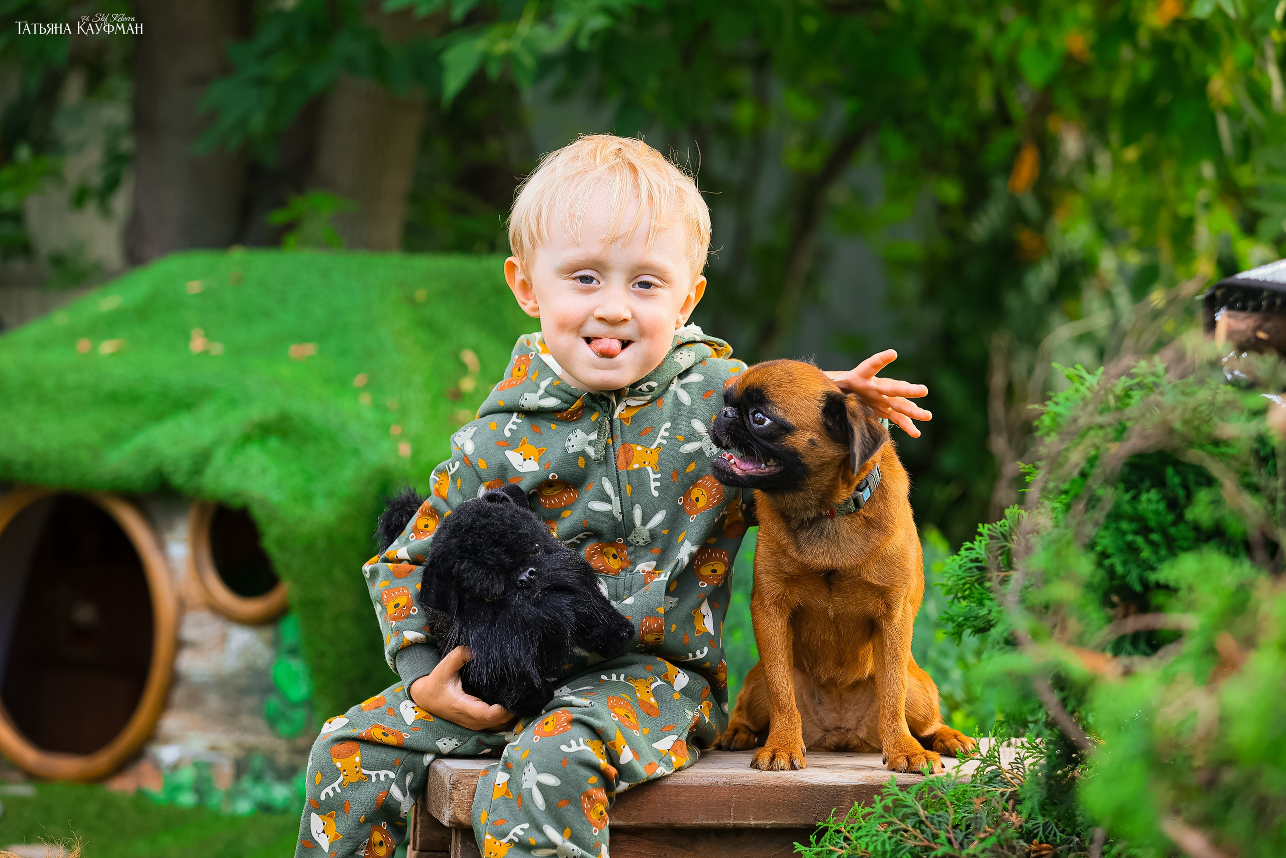Домик для хоббитов, фотозона, властелин колец, шир, хоббиты, гномы, брюссельский гриффон, малый брабансон, фотосессия, ручная работа, фотограф анималист, фотограф Новосибирск