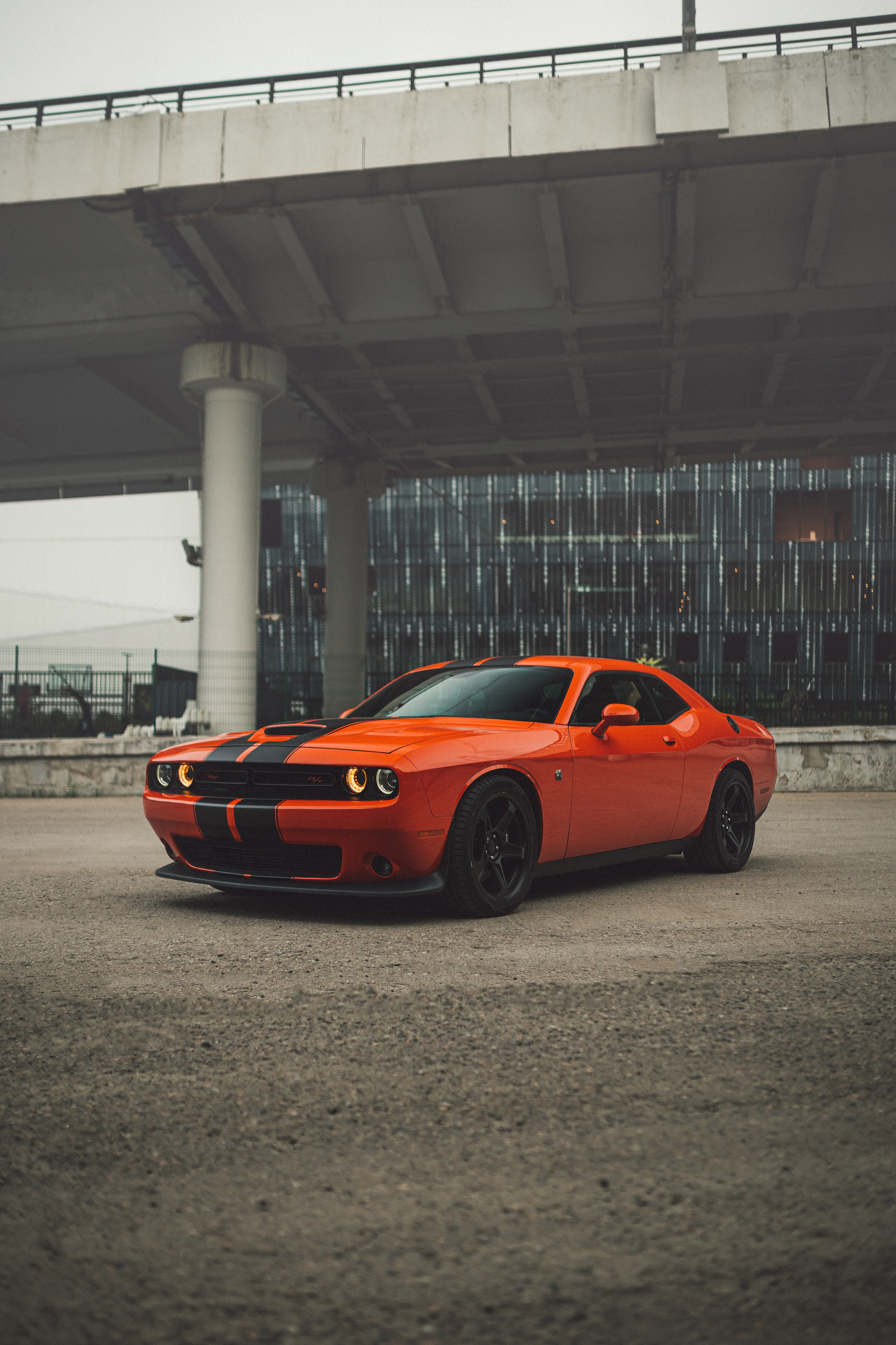 Dodge Challenger by No Sugar Detail. Автомобильный фотограф в Москве | Базилев Александр