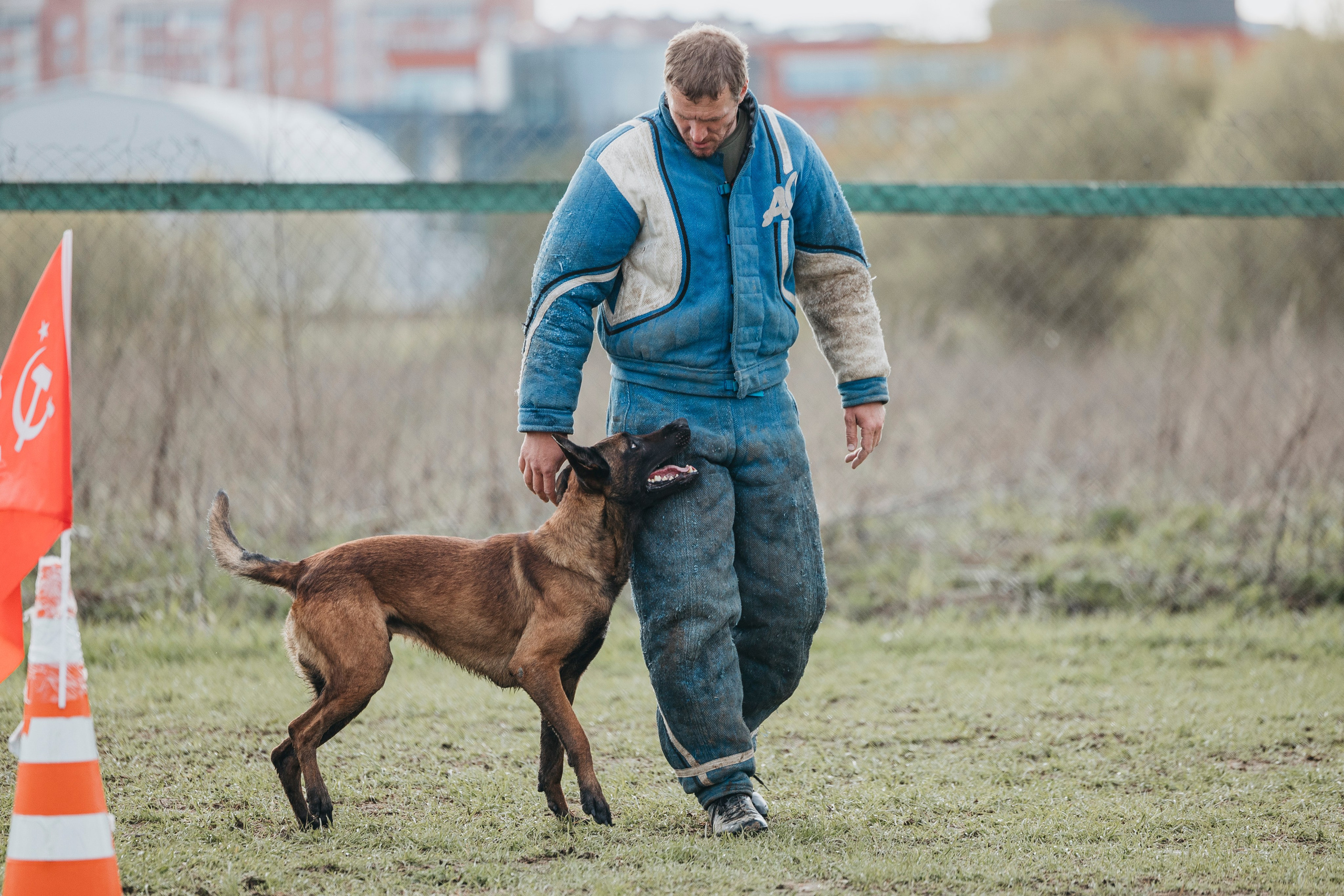 09.05.25 Вологда соревнования. Фотограф-анималист Анна Маринич
