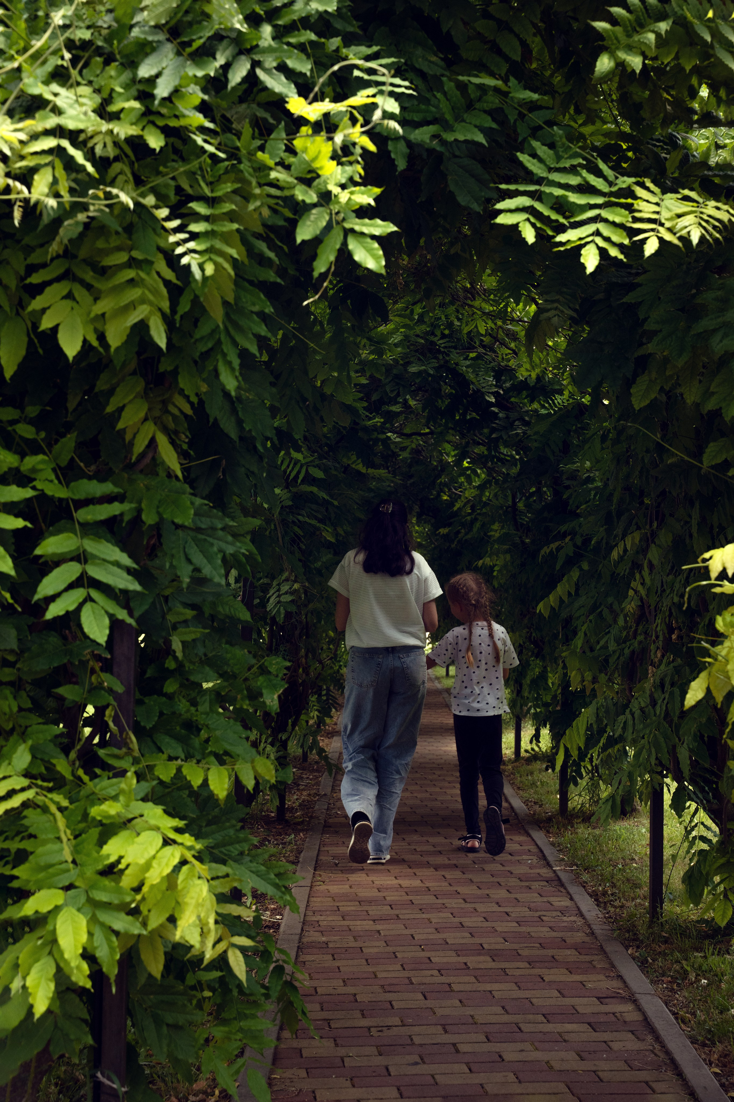Фестиваль йоги в г. Кореновске. Главная