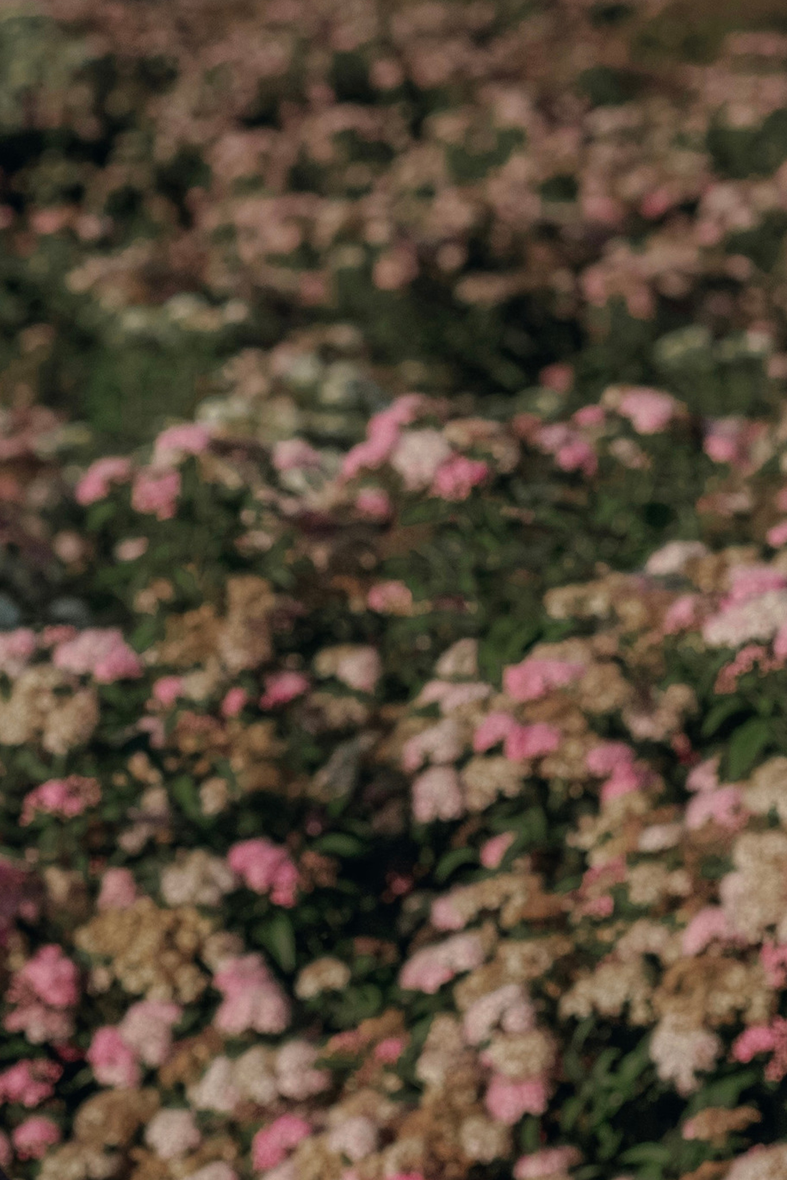 Лера. Ксения Цыз. Женский портретный фотограф в городе Екатеринбург