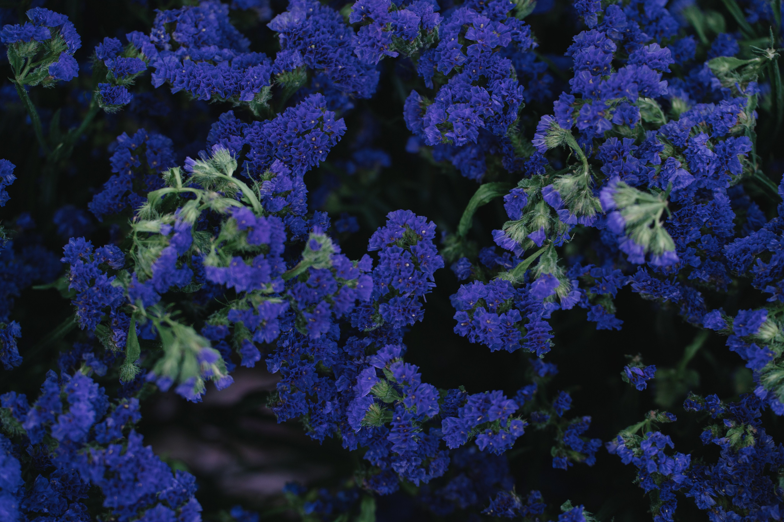 Casa Sur. Wedding & Documentary Photographer based in Nuremberg — available across Europe & Turkey | Vitalii Nasonov