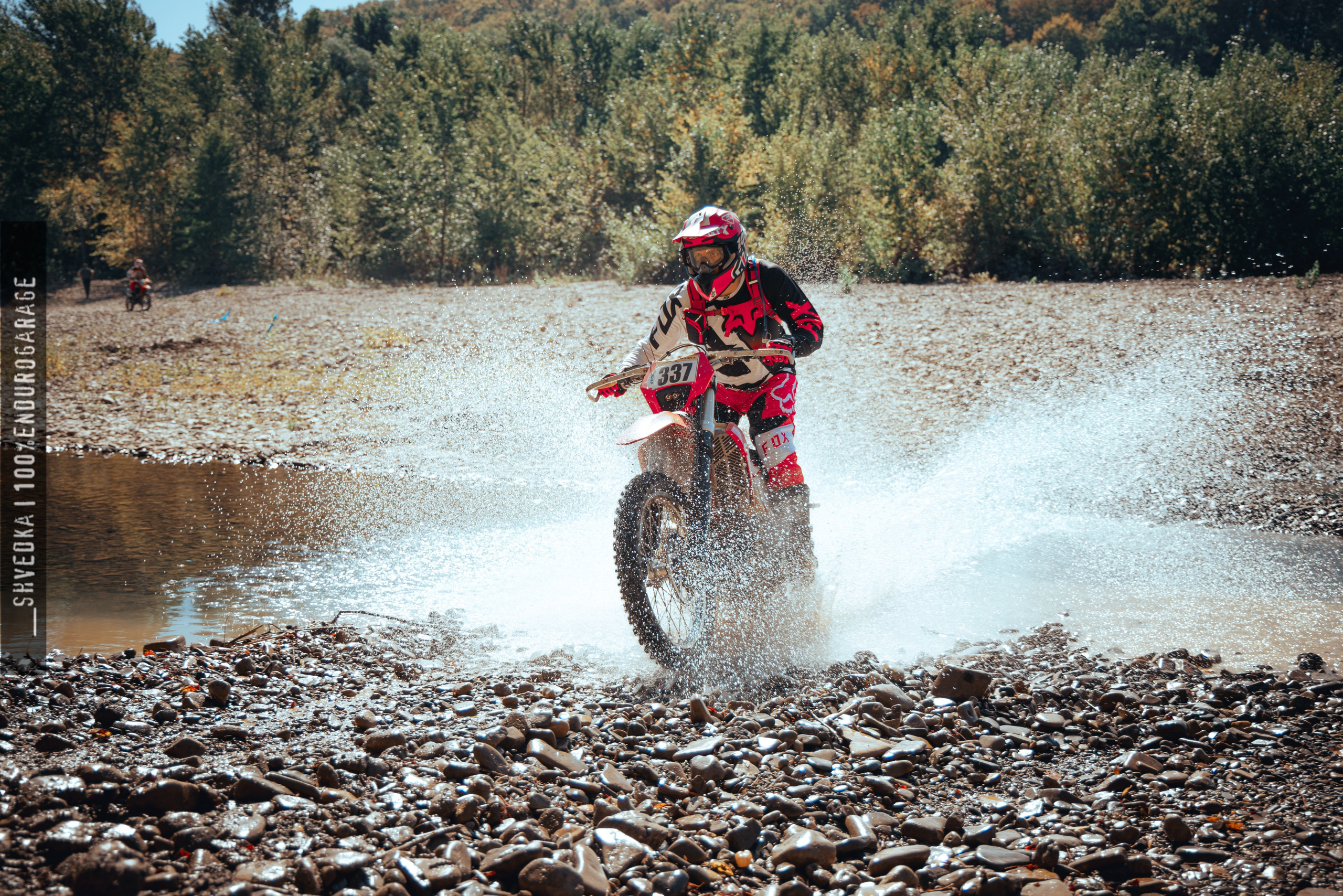 1 лесной день. Ваш экстрим фотограф Кудрева Яна