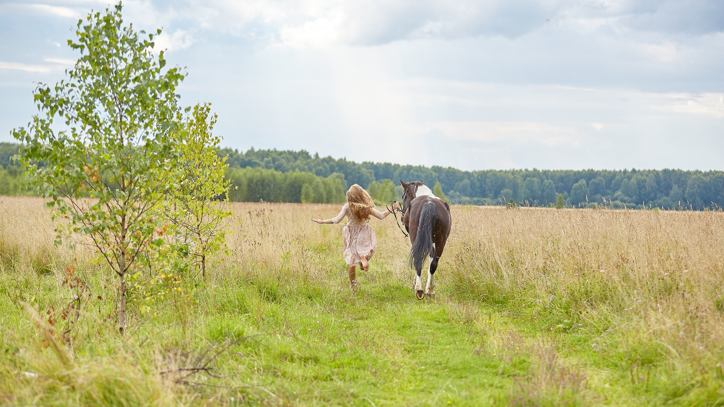 Балет и лошади, фотосессия «ГРАЦИЯ и СИЛА-1» Фотограф Михаил Семенов г. Ярославль (1)