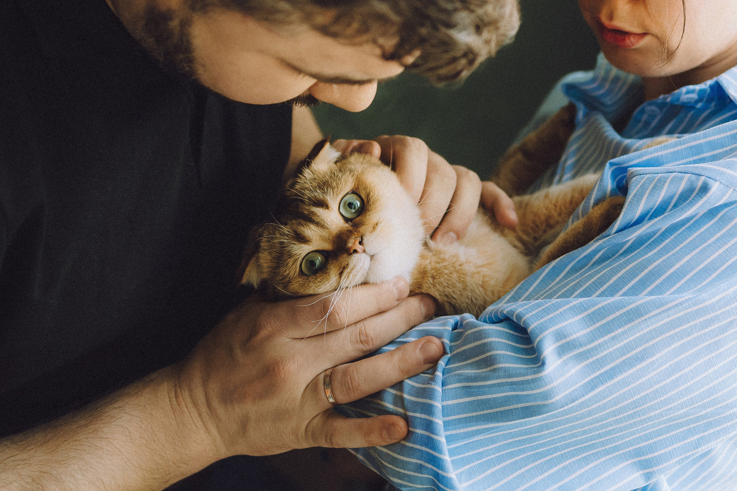 Генри и его семья