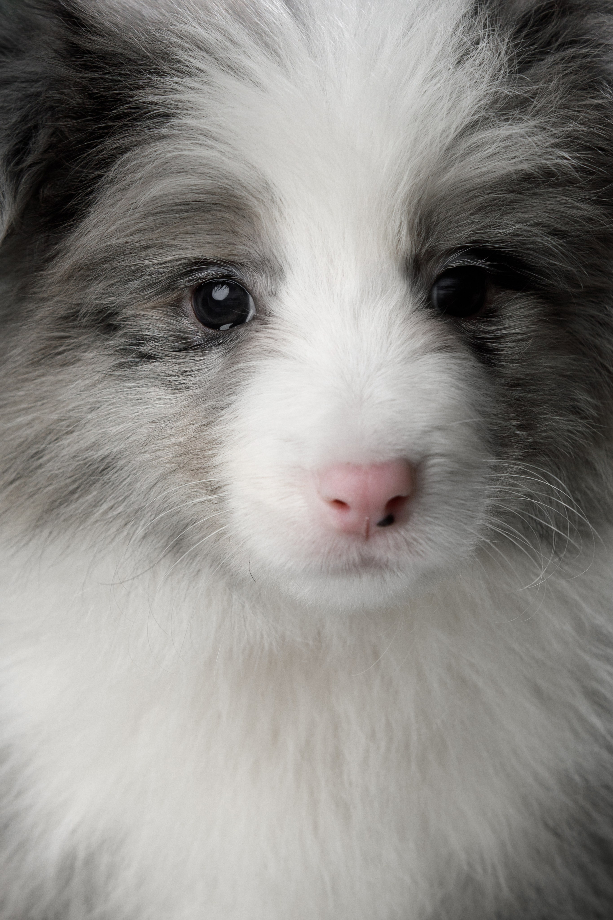 Март. Весна. 22. О нас